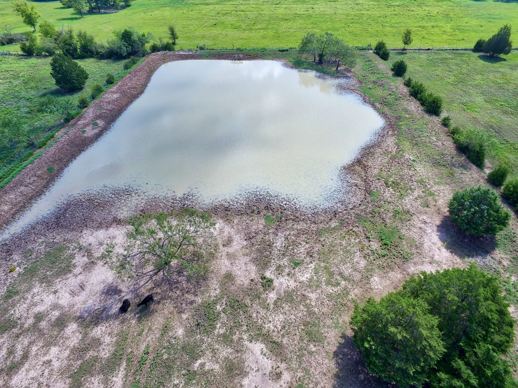 Ranch For Sale in Kaufman County , 0 Palmer Lane, Oak Grove, Texas 75142, 0, 0, Garage spaces, 0 Sqft, built in 0, mls#21150923, Real Estate Agent in Oak Grove, Homes For Sale in Kaufman county, Homes For Sale in Oak Grove, Realtor in Oak Grove Texas, Real Estate Brokerage Independent Realty Texas, Luminita Cordes Realtor