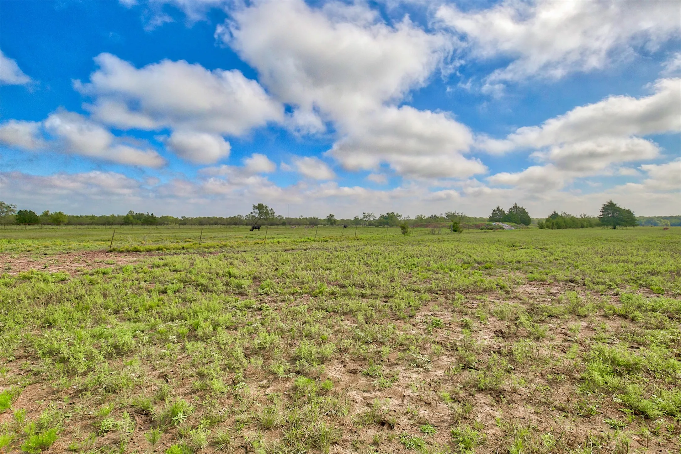 Ranch For Sale in Kaufman County , 0 Palmer Lane, Oak Grove, Texas 75142, 0, 0, Garage spaces, 0 Sqft, built in 0, mls#21150923, Real Estate Agent in Oak Grove, Homes For Sale in Kaufman county, Homes For Sale in Oak Grove, Realtor in Oak Grove Texas, Real Estate Brokerage Independent Realty Texas, Luminita Cordes Realtor