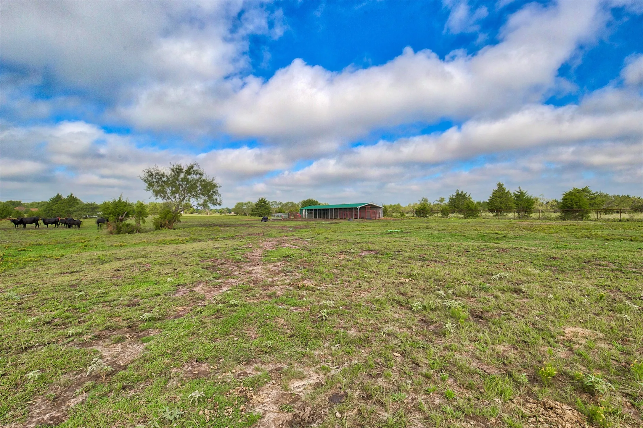 Ranch For Sale in Kaufman County , 0 Palmer Lane, Oak Grove, Texas 75142, 0, 0, Garage spaces, 0 Sqft, built in 0, mls#21150923, Real Estate Agent in Oak Grove, Homes For Sale in Kaufman county, Homes For Sale in Oak Grove, Realtor in Oak Grove Texas, Real Estate Brokerage Independent Realty Texas, Luminita Cordes Realtor