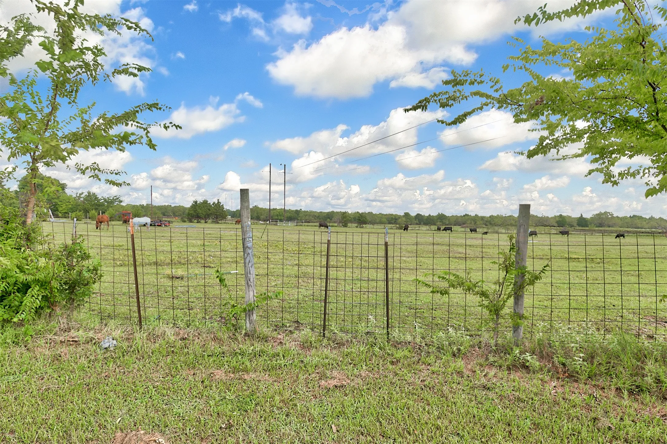 Ranch For Sale in Kaufman County , 0 Palmer Lane, Oak Grove, Texas 75142, 0, 0, Garage spaces, 0 Sqft, built in 0, mls#21150923, Real Estate Agent in Oak Grove, Homes For Sale in Kaufman county, Homes For Sale in Oak Grove, Realtor in Oak Grove Texas, Real Estate Brokerage Independent Realty Texas, Luminita Cordes Realtor