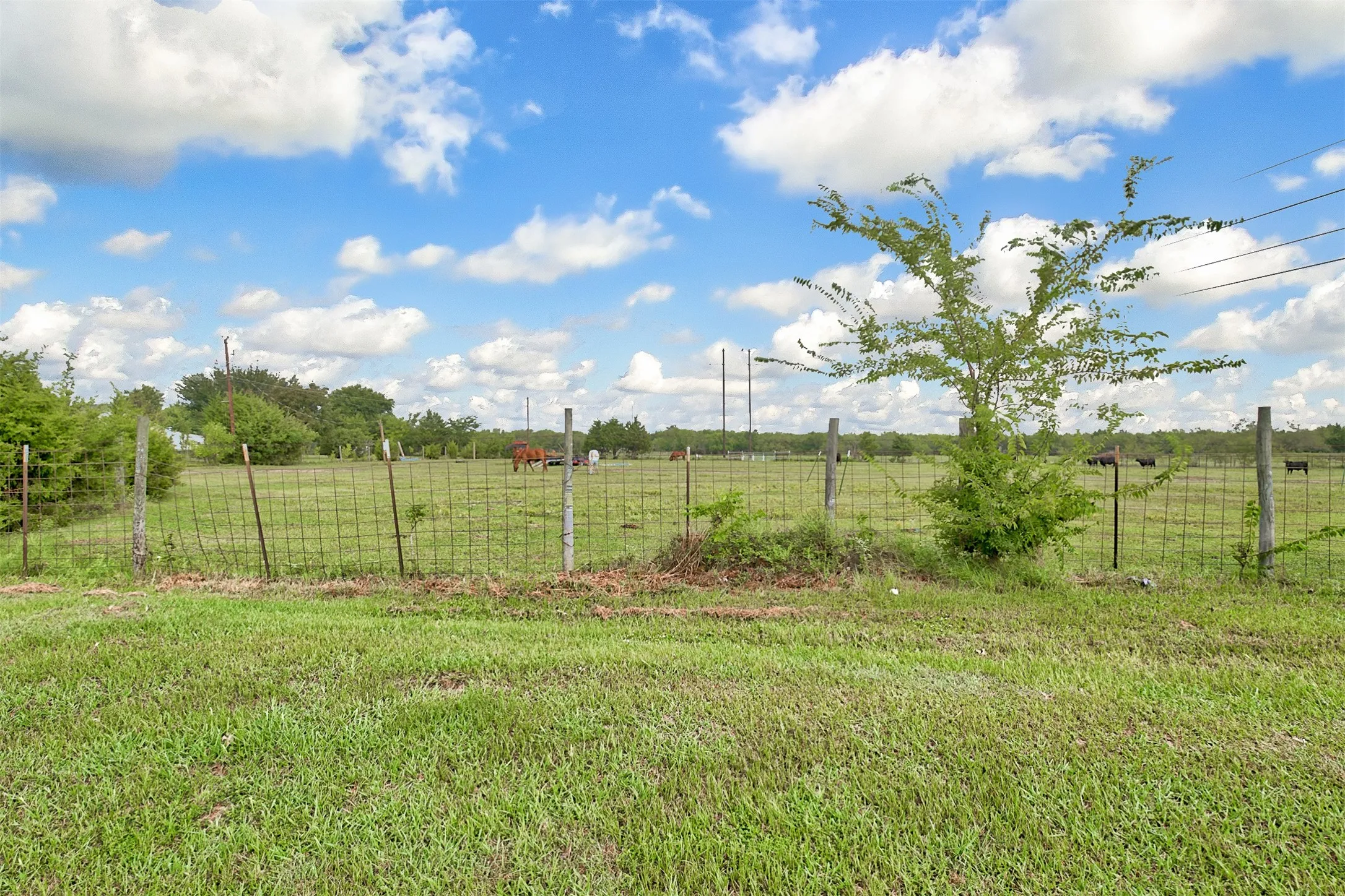 Ranch For Sale in Kaufman County , 0 Palmer Lane, Oak Grove, Texas 75142, 0, 0, Garage spaces, 0 Sqft, built in 0, mls#21150923, Real Estate Agent in Oak Grove, Homes For Sale in Kaufman county, Homes For Sale in Oak Grove, Realtor in Oak Grove Texas, Real Estate Brokerage Independent Realty Texas, Luminita Cordes Realtor