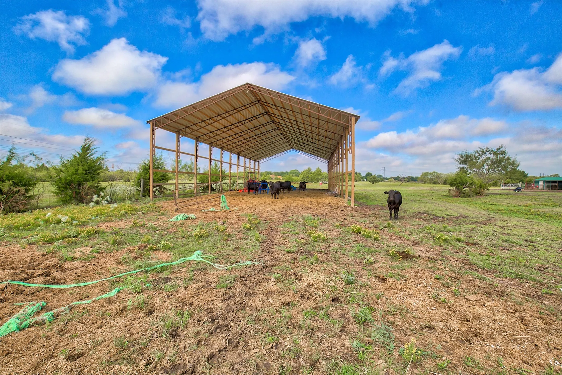 Ranch For Sale in Kaufman County , 0 Palmer Lane, Oak Grove, Texas 75142, 0, 0, Garage spaces, 0 Sqft, built in 0, mls#21150923, Real Estate Agent in Oak Grove, Homes For Sale in Kaufman county, Homes For Sale in Oak Grove, Realtor in Oak Grove Texas, Real Estate Brokerage Independent Realty Texas, Luminita Cordes Realtor