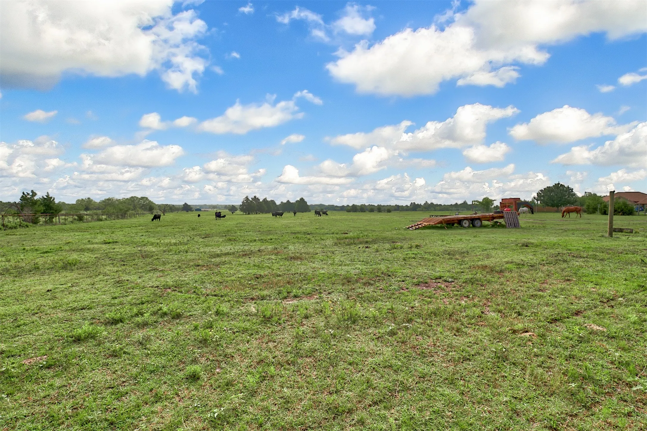 Ranch For Sale in Kaufman County , 0 Palmer Lane, Oak Grove, Texas 75142, 0, 0, Garage spaces, 0 Sqft, built in 0, mls#21150923, Real Estate Agent in Oak Grove, Homes For Sale in Kaufman county, Homes For Sale in Oak Grove, Realtor in Oak Grove Texas, Real Estate Brokerage Independent Realty Texas, Luminita Cordes Realtor