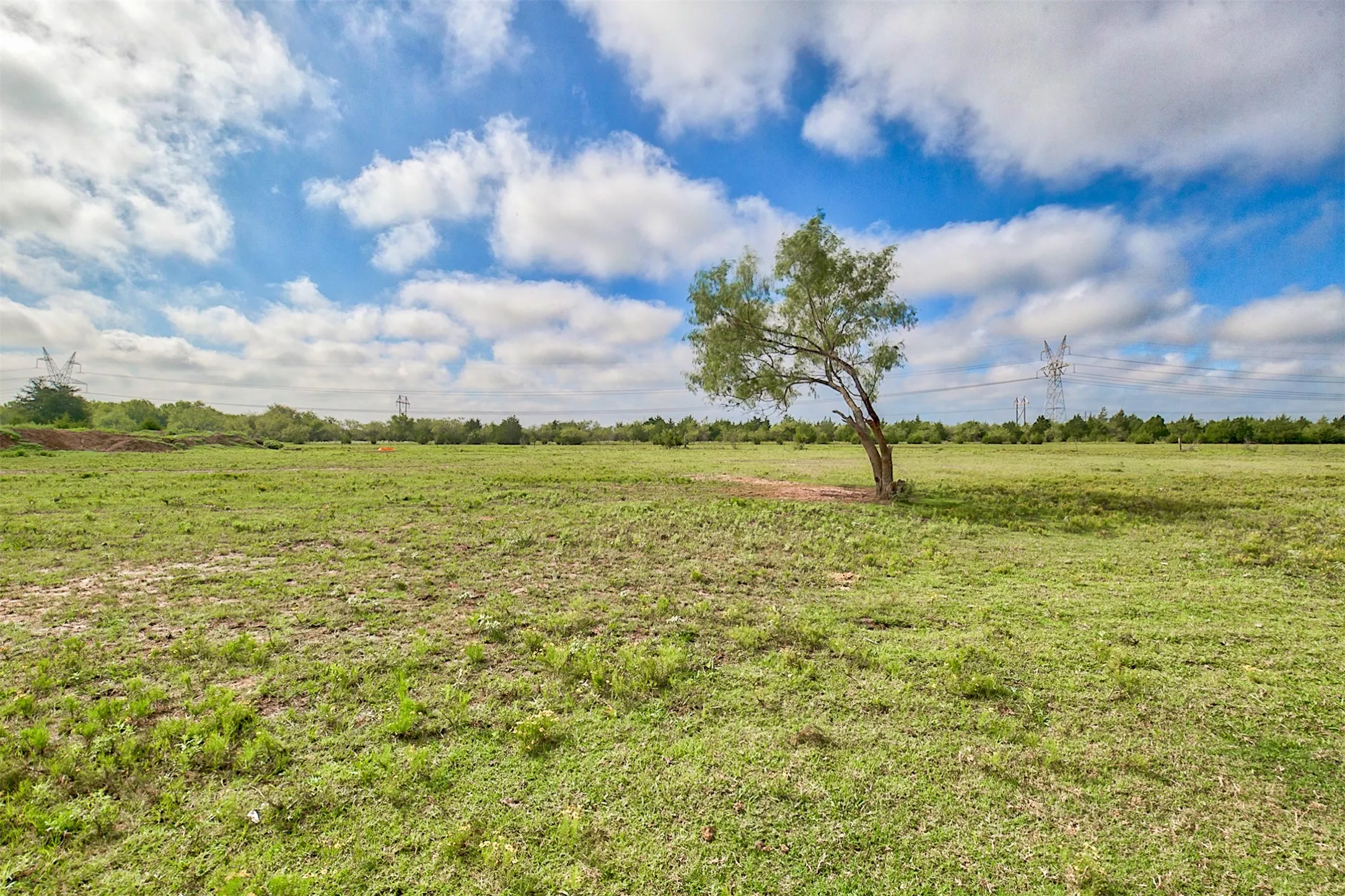 Ranch For Sale in Kaufman County , 0 Palmer Lane, Oak Grove, Texas 75142, 0, 0, Garage spaces, 0 Sqft, built in 0, mls#21150923, Real Estate Agent in Oak Grove, Homes For Sale in Kaufman county, Homes For Sale in Oak Grove, Realtor in Oak Grove Texas, Real Estate Brokerage Independent Realty Texas, Luminita Cordes Realtor