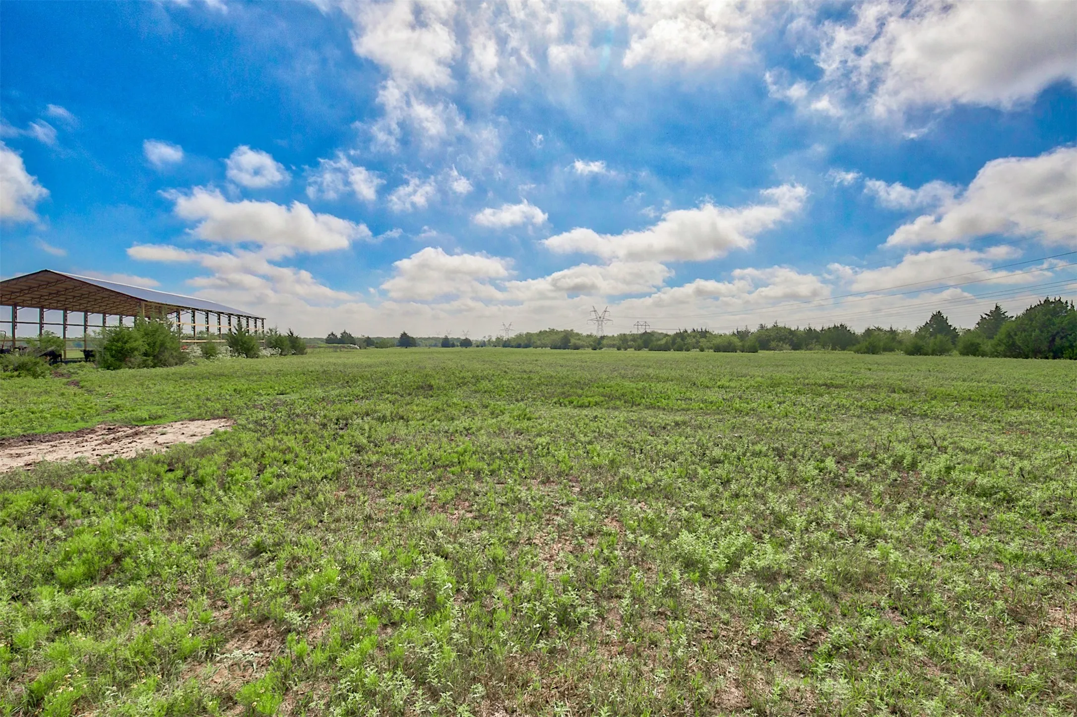 Ranch For Sale in Kaufman County , 0 Palmer Lane, Oak Grove, Texas 75142, 0, 0, Garage spaces, 0 Sqft, built in 0, mls#21150923, Real Estate Agent in Oak Grove, Homes For Sale in Kaufman county, Homes For Sale in Oak Grove, Realtor in Oak Grove Texas, Real Estate Brokerage Independent Realty Texas, Luminita Cordes Realtor
