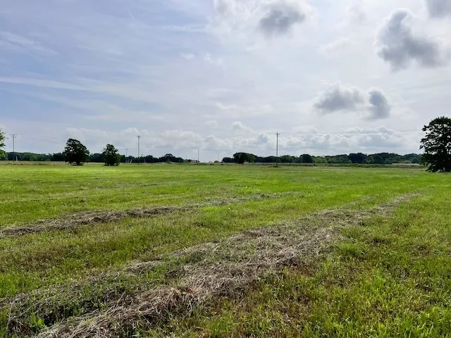 Unimproved Land For Sale in Navarro County , 9820 S US HWY 287, Corsicana, Texas 75109, 0, 0, Garage spaces, 0 Sqft, built in 0, Price $903,000, mls#21142777, Real Estate Agent in Corsicana, Homes For Sale in Navarro county, Homes For Sale in Corsicana, Realtor in Corsicana Texas, Real Estate Brokerage Independent Realty Texas, Luminita Cordes Realtor