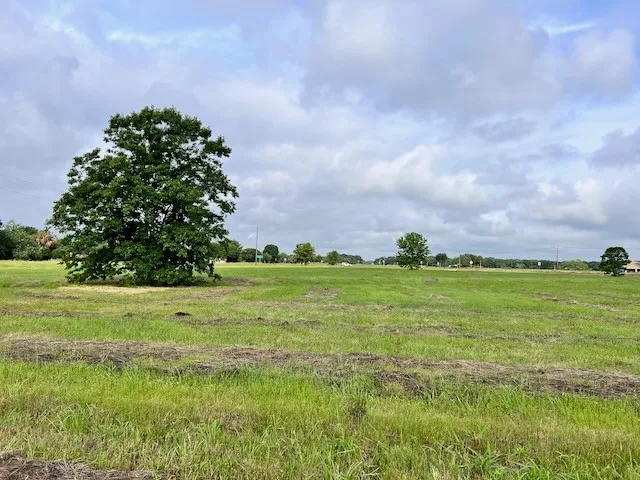 Unimproved Land For Sale in Navarro County , 9820 S US HWY 287, Corsicana, Texas 75109, 0, 0, Garage spaces, 0 Sqft, built in 0, Price $903,000, mls#21142777, Real Estate Agent in Corsicana, Homes For Sale in Navarro county, Homes For Sale in Corsicana, Realtor in Corsicana Texas, Real Estate Brokerage Independent Realty Texas, Luminita Cordes Realtor