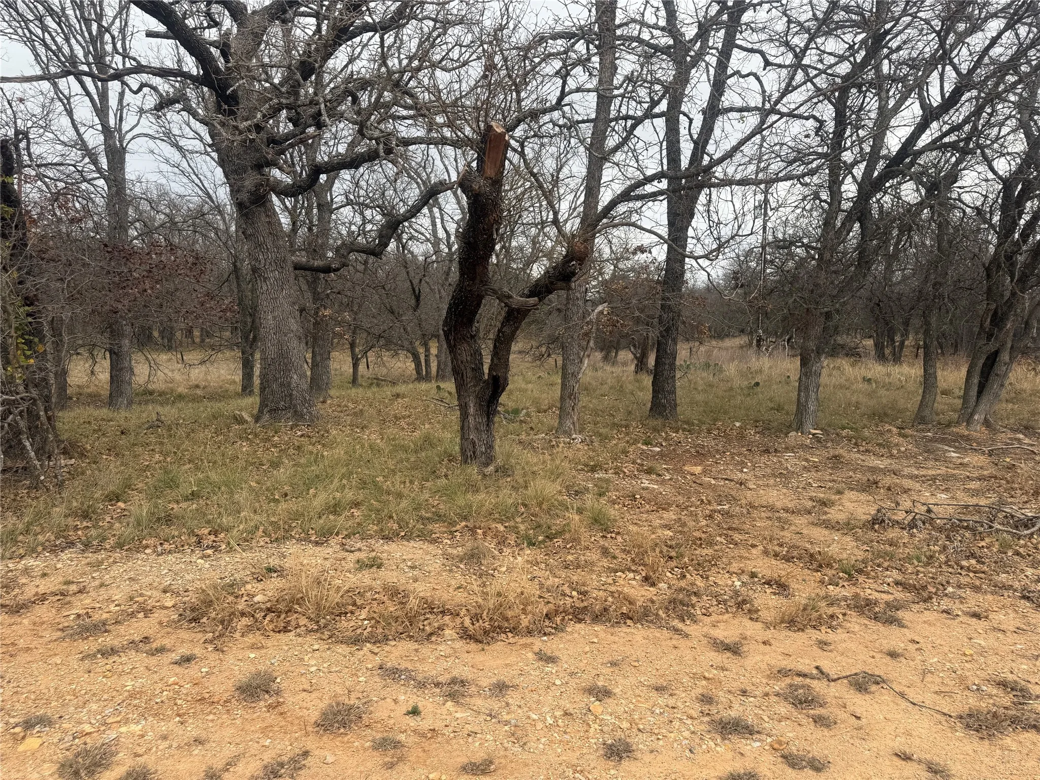 Unimproved Land For Sale in Brown County , TBD Tamarack Drive, May, Texas 76857, 0, 0, Garage spaces, 0 Sqft, built in 0, mls#21144364, Real Estate Agent in May, Homes For Sale in Brown county, Homes For Sale in May, Realtor in May Texas, Real Estate Brokerage Independent Realty Texas, Luminita Cordes Realtor