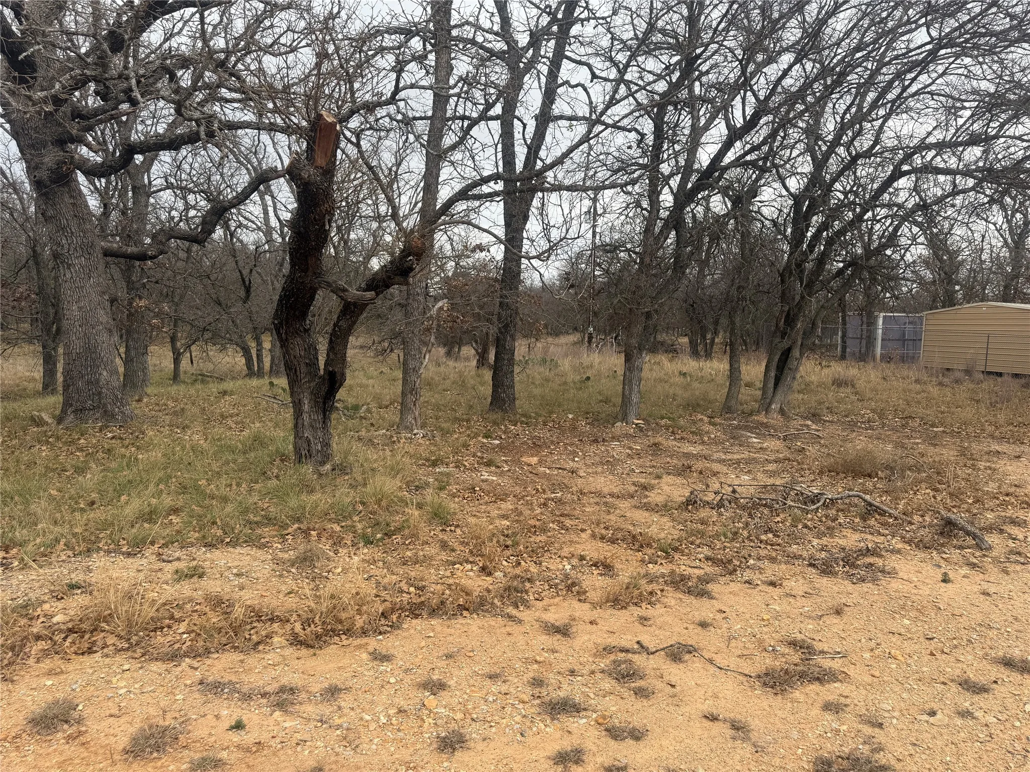 Unimproved Land For Sale in Brown County , TBD Tamarack Drive, May, Texas 76857, 0, 0, Garage spaces, 0 Sqft, built in 0, mls#21144364, Real Estate Agent in May, Homes For Sale in Brown county, Homes For Sale in May, Realtor in May Texas, Real Estate Brokerage Independent Realty Texas, Luminita Cordes Realtor