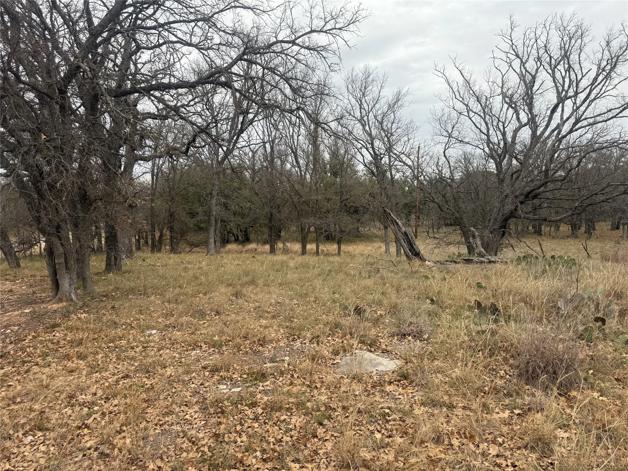 Unimproved Land For Sale in Brown County , TBD Tamarack Drive, May, Texas 76857, 0, 0, Garage spaces, 0 Sqft, built in 0, mls#21144364, Real Estate Agent in May, Homes For Sale in Brown county, Homes For Sale in May, Realtor in May Texas, Real Estate Brokerage Independent Realty Texas, Luminita Cordes Realtor