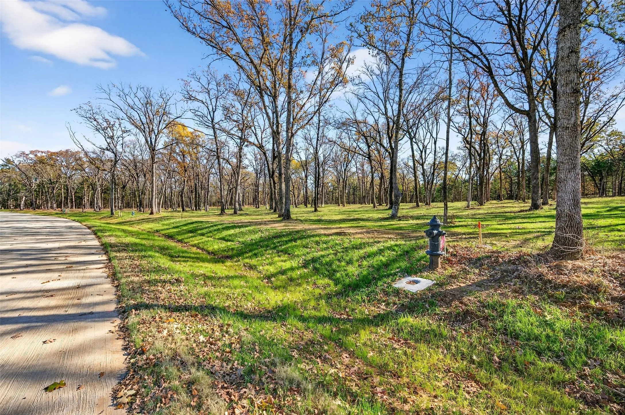 Improved Land For Sale in Grayson County , Lot 81 Buck Trail, Pottsboro, Texas 75076, 0, 0, Garage spaces, 0 Sqft, built in 0, mls#21151333, Real Estate Agent in Pottsboro, Homes For Sale in Grayson county, Homes For Sale in Pottsboro, Realtor in Pottsboro Texas, Real Estate Brokerage Independent Realty Texas, Luminita Cordes Realtor