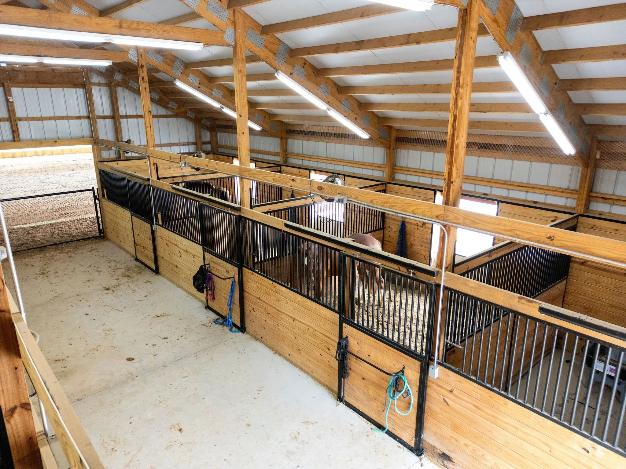 Farm For Sale in Van Zandt County , 370 VZ County Road 4134, Canton, Texas 75103, 4 Bedroom, 3 Bathroom, Garage spaces, 2,624 Sqft, built in 2011, Preowned, mls#21128574, Real Estate Agent in Canton, Homes For Sale in Van Zandt county, Homes For Sale in Canton, Realtor in Canton Texas, Real Estate Brokerage Independent Realty Texas, Luminita Cordes Realtor