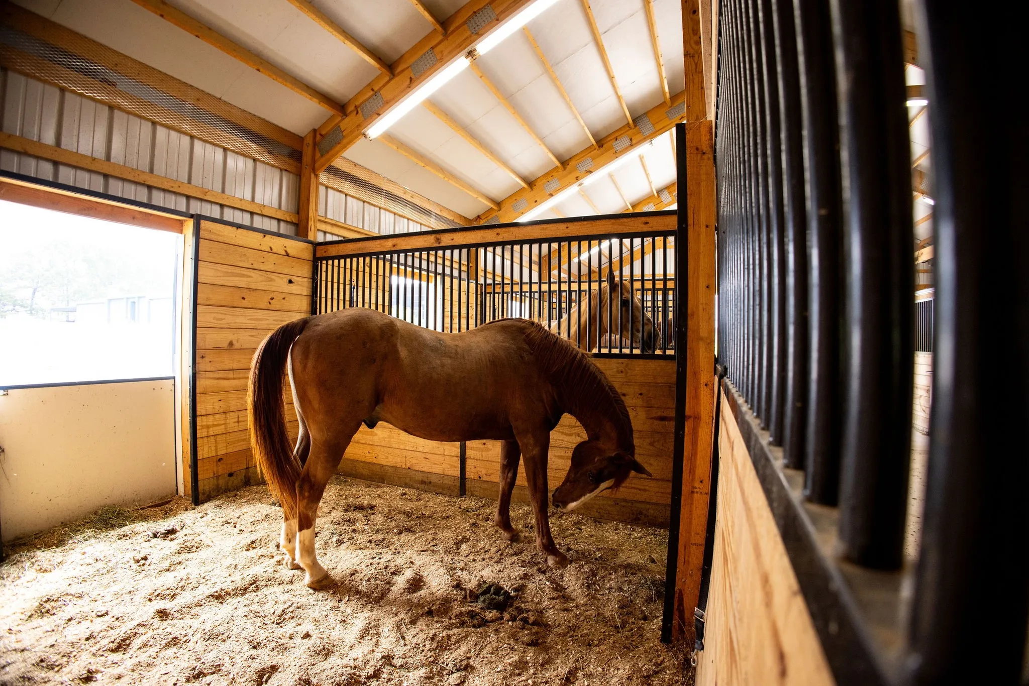 Farm For Sale in Van Zandt County , 370 VZ County Road 4134, Canton, Texas 75103, 4 Bedroom, 3 Bathroom, Garage spaces, 2,624 Sqft, built in 2011, Preowned, mls#21128574, Real Estate Agent in Canton, Homes For Sale in Van Zandt county, Homes For Sale in Canton, Realtor in Canton Texas, Real Estate Brokerage Independent Realty Texas, Luminita Cordes Realtor