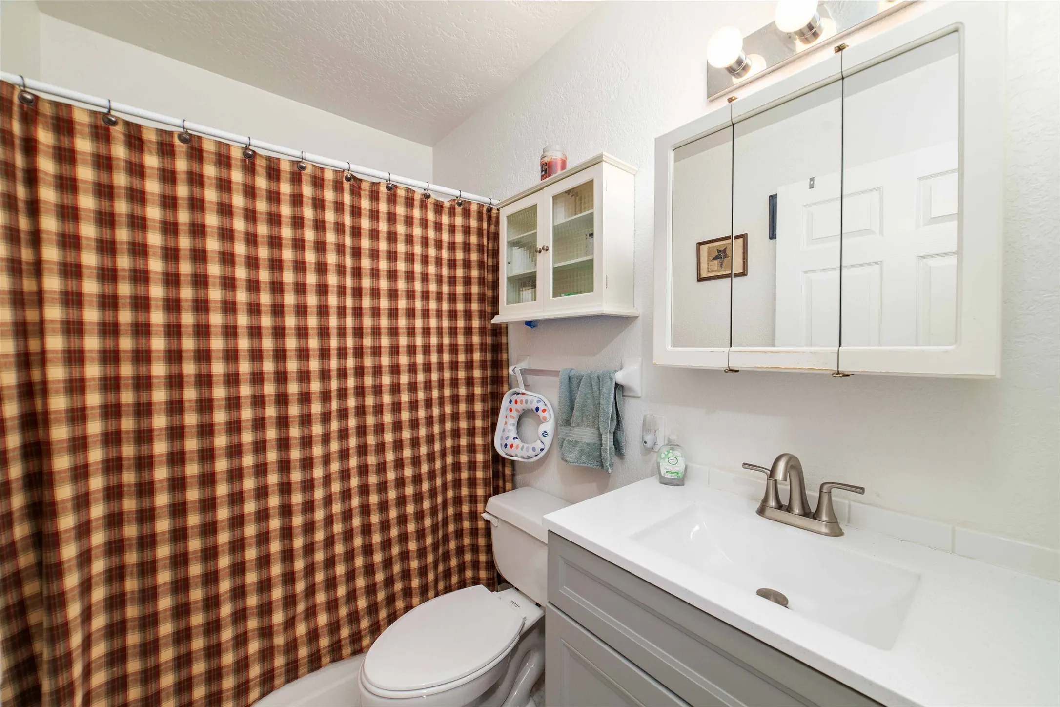 Bathroom featuring toilet, vanity, and curtained shower