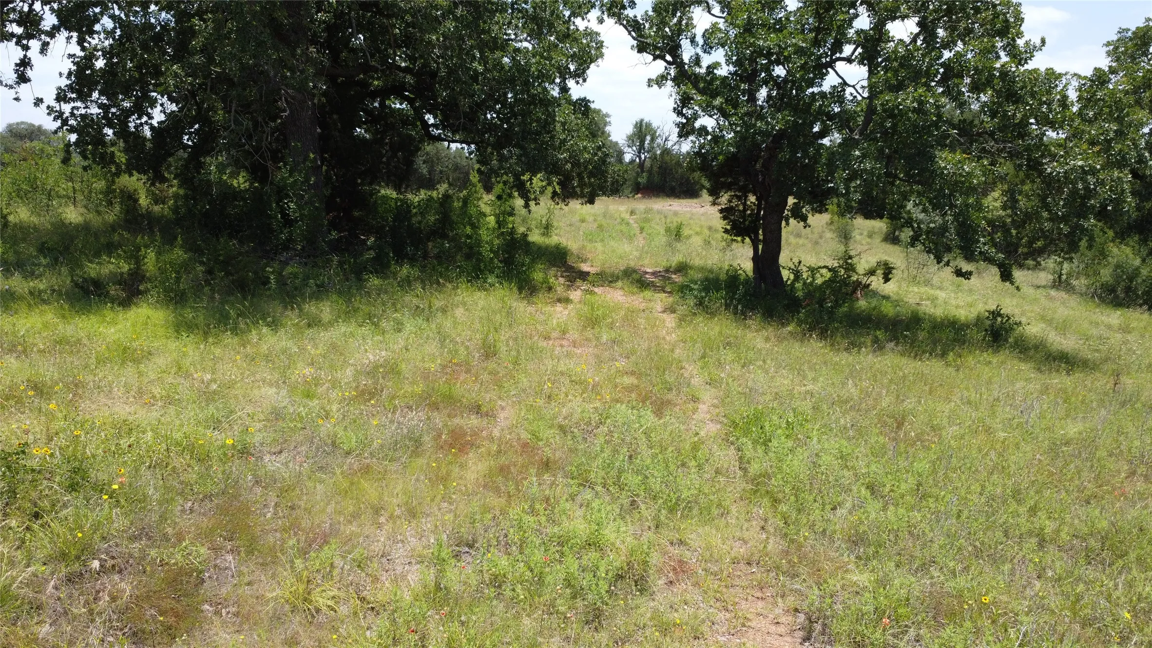 Ranch For Sale in Palo Pinto County , TBD Big Bend Road, Mineral Wells, Texas 76067, 0, 0, Garage spaces, 0 Sqft, built in 0, mls#21151524, Real Estate Agent in Mineral Wells, Homes For Sale in Palo Pinto county, Homes For Sale in Mineral Wells, Realtor in Mineral Wells Texas, Real Estate Brokerage Independent Realty Texas, Luminita Cordes Realtor