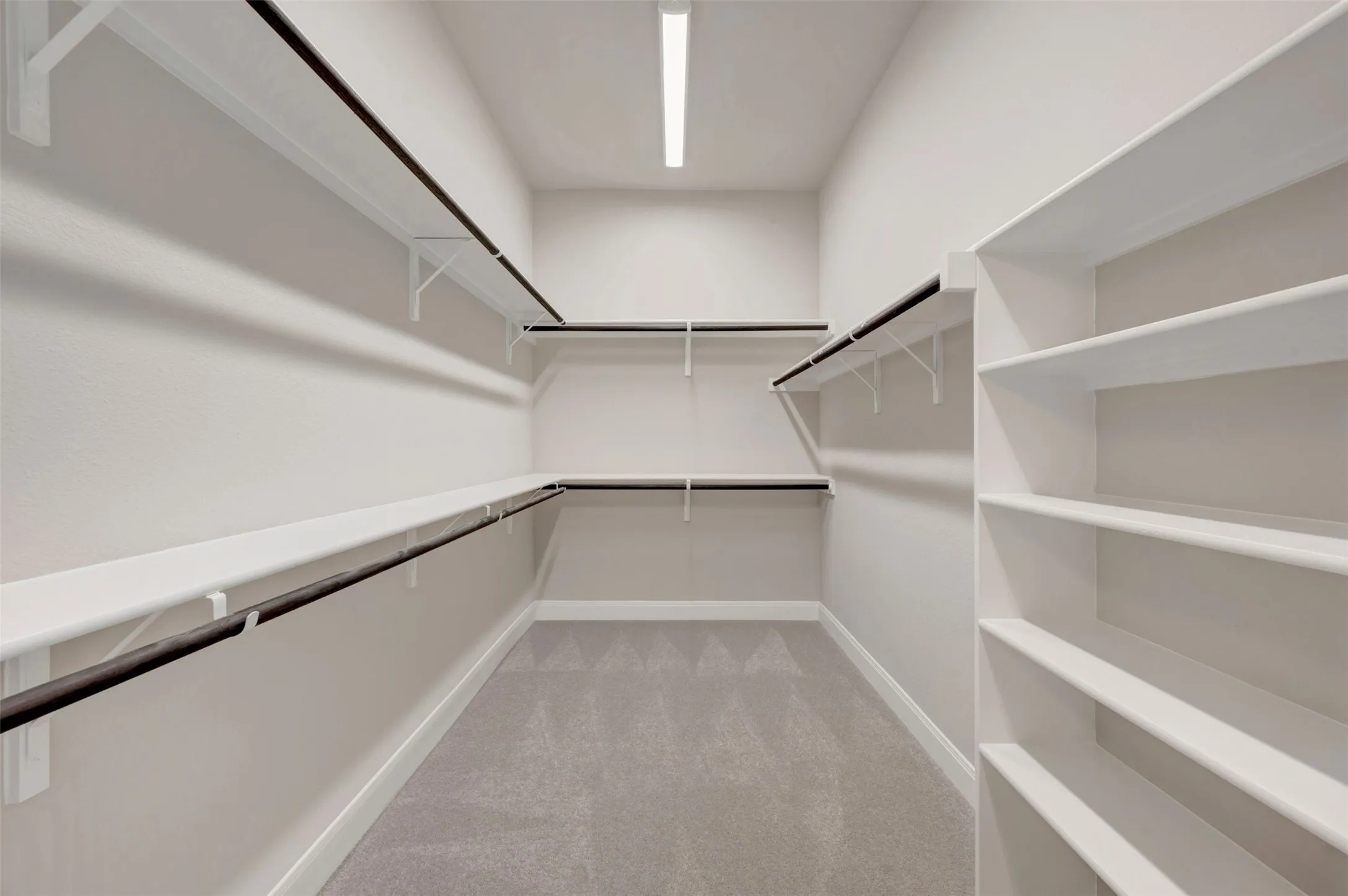 Spacious walk-in closet featuring light gray carpeting, built-in shelving, white walls, and a ceiling-mounted light fixture