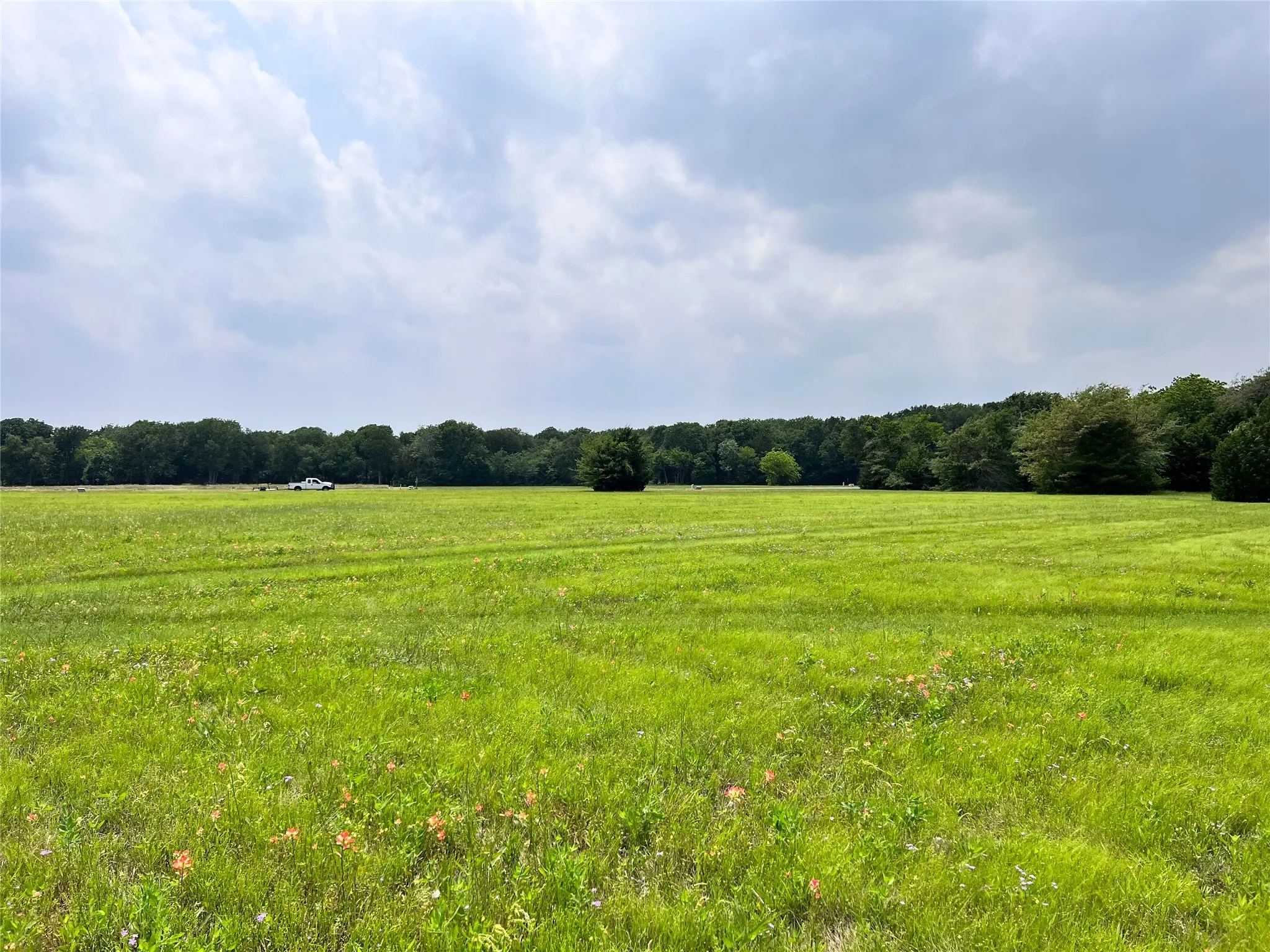 Unimproved Land For Sale in Navarro County , Lot 79 Clubhouse Drive, Corsicana, Texas 75109, 0, 0, Garage spaces, 0 Sqft, built in 0, Price $70,000, mls#21142676, Real Estate Agent in Corsicana, Homes For Sale in Navarro county, Homes For Sale in Corsicana, Realtor in Corsicana Texas, Real Estate Brokerage Independent Realty Texas, Luminita Cordes Realtor
