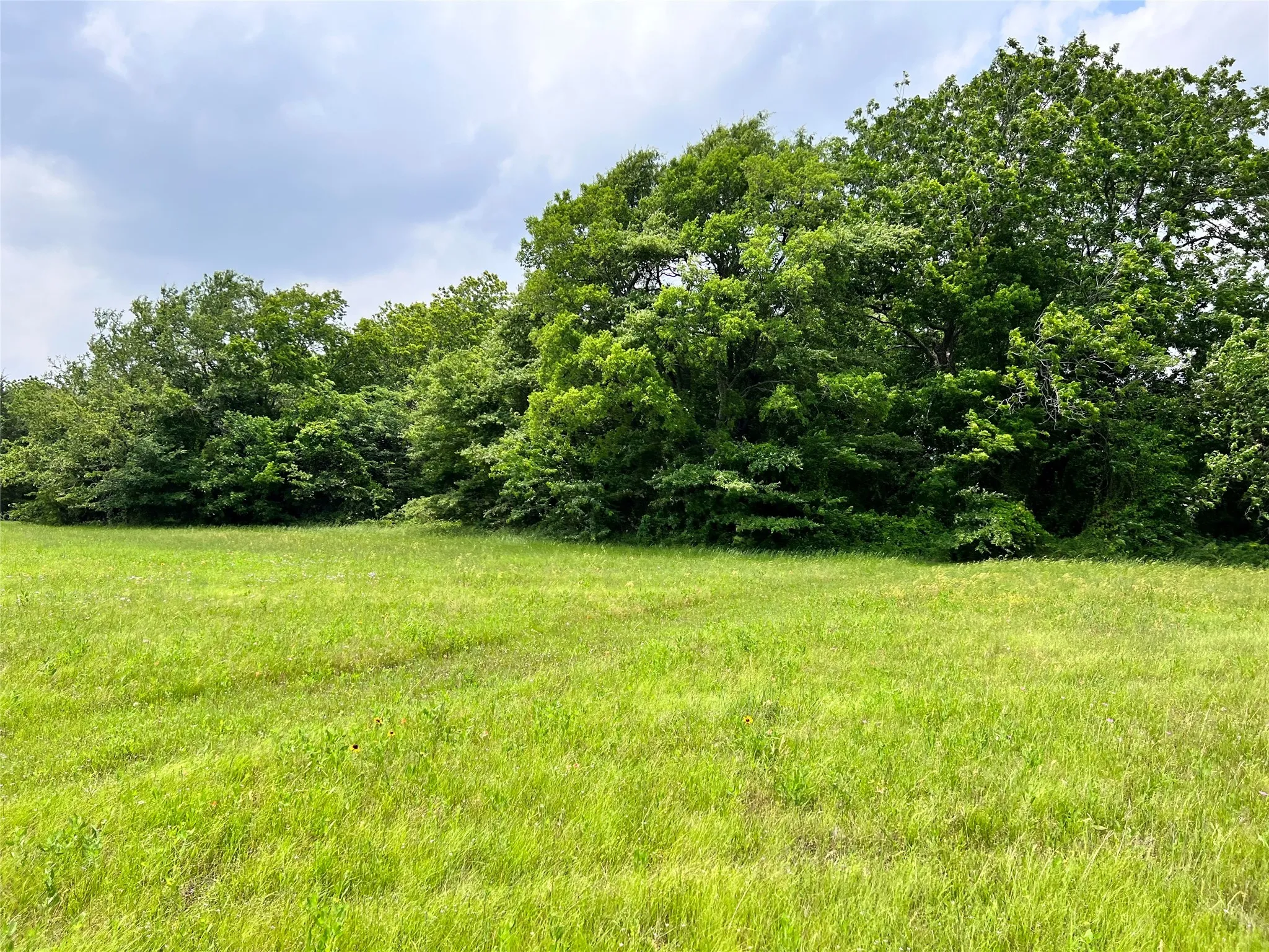 Unimproved Land For Sale in Navarro County , Lot 79 Clubhouse Drive, Corsicana, Texas 75109, 0, 0, Garage spaces, 0 Sqft, built in 0, Price $70,000, mls#21142676, Real Estate Agent in Corsicana, Homes For Sale in Navarro county, Homes For Sale in Corsicana, Realtor in Corsicana Texas, Real Estate Brokerage Independent Realty Texas, Luminita Cordes Realtor