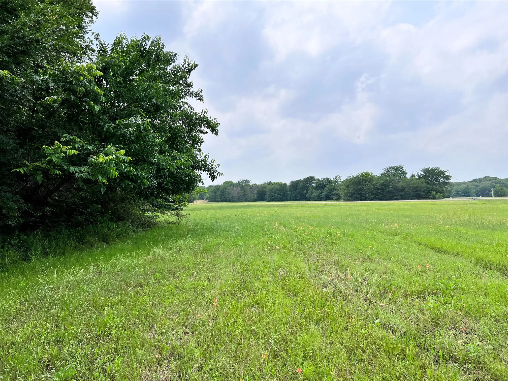 Unimproved Land For Sale in Navarro County , Lot 79 Clubhouse Drive, Corsicana, Texas 75109, 0, 0, Garage spaces, 0 Sqft, built in 0, Price $70,000, mls#21142676, Real Estate Agent in Corsicana, Homes For Sale in Navarro county, Homes For Sale in Corsicana, Realtor in Corsicana Texas, Real Estate Brokerage Independent Realty Texas, Luminita Cordes Realtor