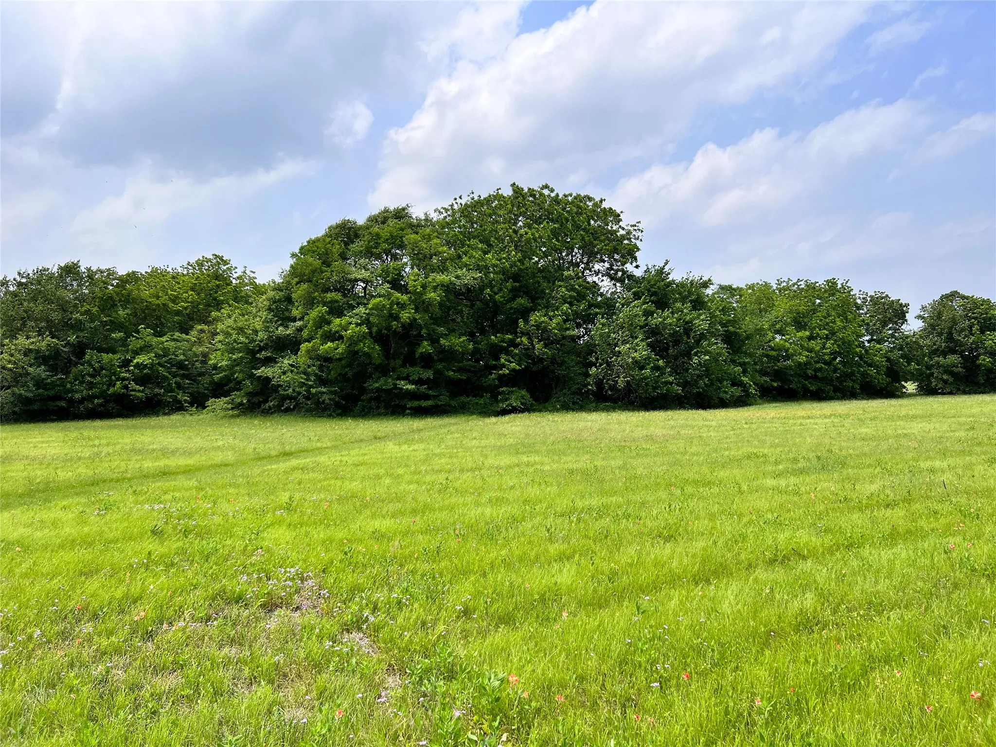 Unimproved Land For Sale in Navarro County , Lot 79 Clubhouse Drive, Corsicana, Texas 75109, 0, 0, Garage spaces, 0 Sqft, built in 0, Price $70,000, mls#21142676, Real Estate Agent in Corsicana, Homes For Sale in Navarro county, Homes For Sale in Corsicana, Realtor in Corsicana Texas, Real Estate Brokerage Independent Realty Texas, Luminita Cordes Realtor