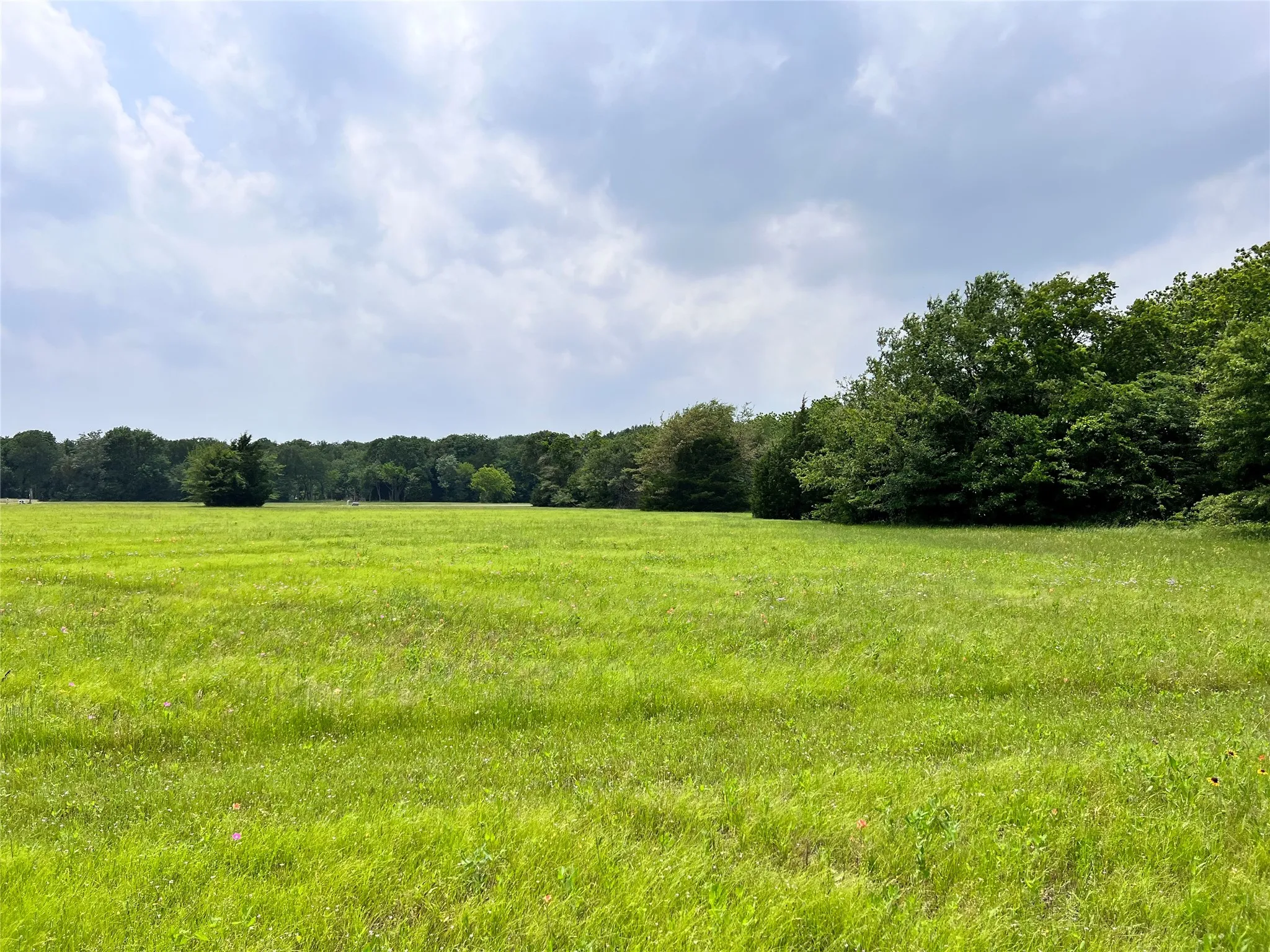 Unimproved Land For Sale in Navarro County , Lot 79 Clubhouse Drive, Corsicana, Texas 75109, 0, 0, Garage spaces, 0 Sqft, built in 0, Price $70,000, mls#21142676, Real Estate Agent in Corsicana, Homes For Sale in Navarro county, Homes For Sale in Corsicana, Realtor in Corsicana Texas, Real Estate Brokerage Independent Realty Texas, Luminita Cordes Realtor