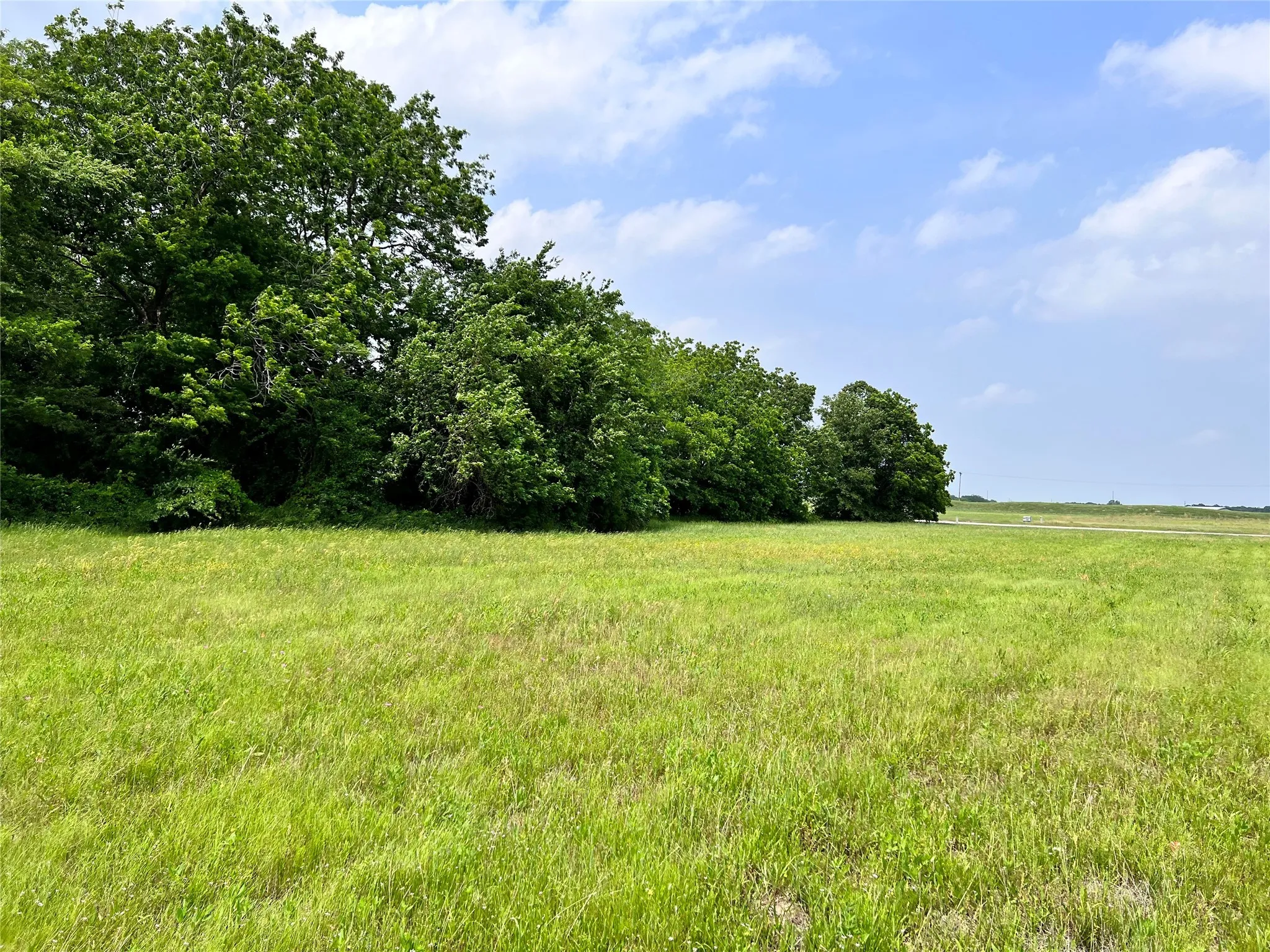 Unimproved Land For Sale in Navarro County , Lot 79 Clubhouse Drive, Corsicana, Texas 75109, 0, 0, Garage spaces, 0 Sqft, built in 0, Price $70,000, mls#21142676, Real Estate Agent in Corsicana, Homes For Sale in Navarro county, Homes For Sale in Corsicana, Realtor in Corsicana Texas, Real Estate Brokerage Independent Realty Texas, Luminita Cordes Realtor