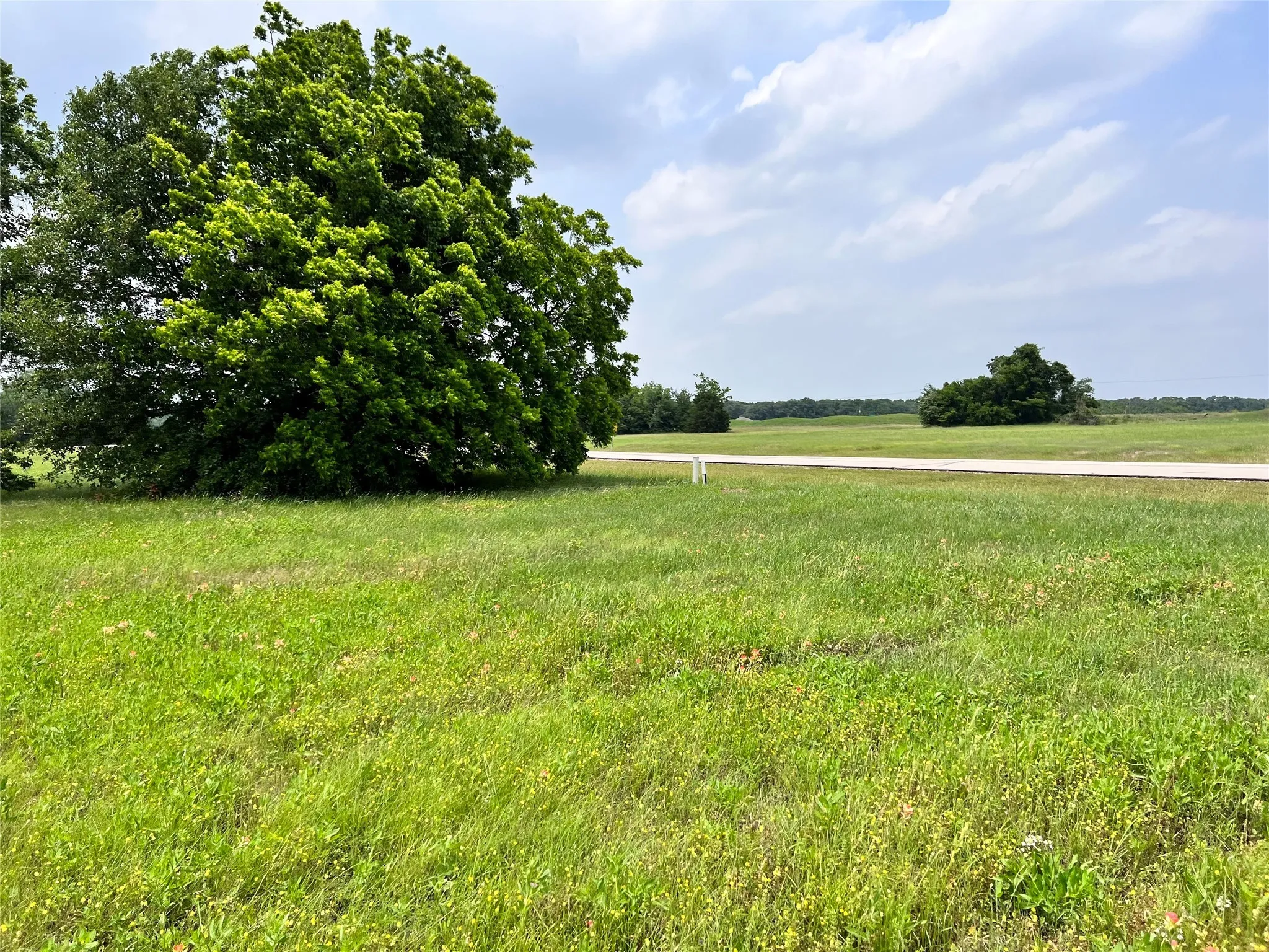 Unimproved Land For Sale in Navarro County , Lot 79 Clubhouse Drive, Corsicana, Texas 75109, 0, 0, Garage spaces, 0 Sqft, built in 0, Price $70,000, mls#21142676, Real Estate Agent in Corsicana, Homes For Sale in Navarro county, Homes For Sale in Corsicana, Realtor in Corsicana Texas, Real Estate Brokerage Independent Realty Texas, Luminita Cordes Realtor