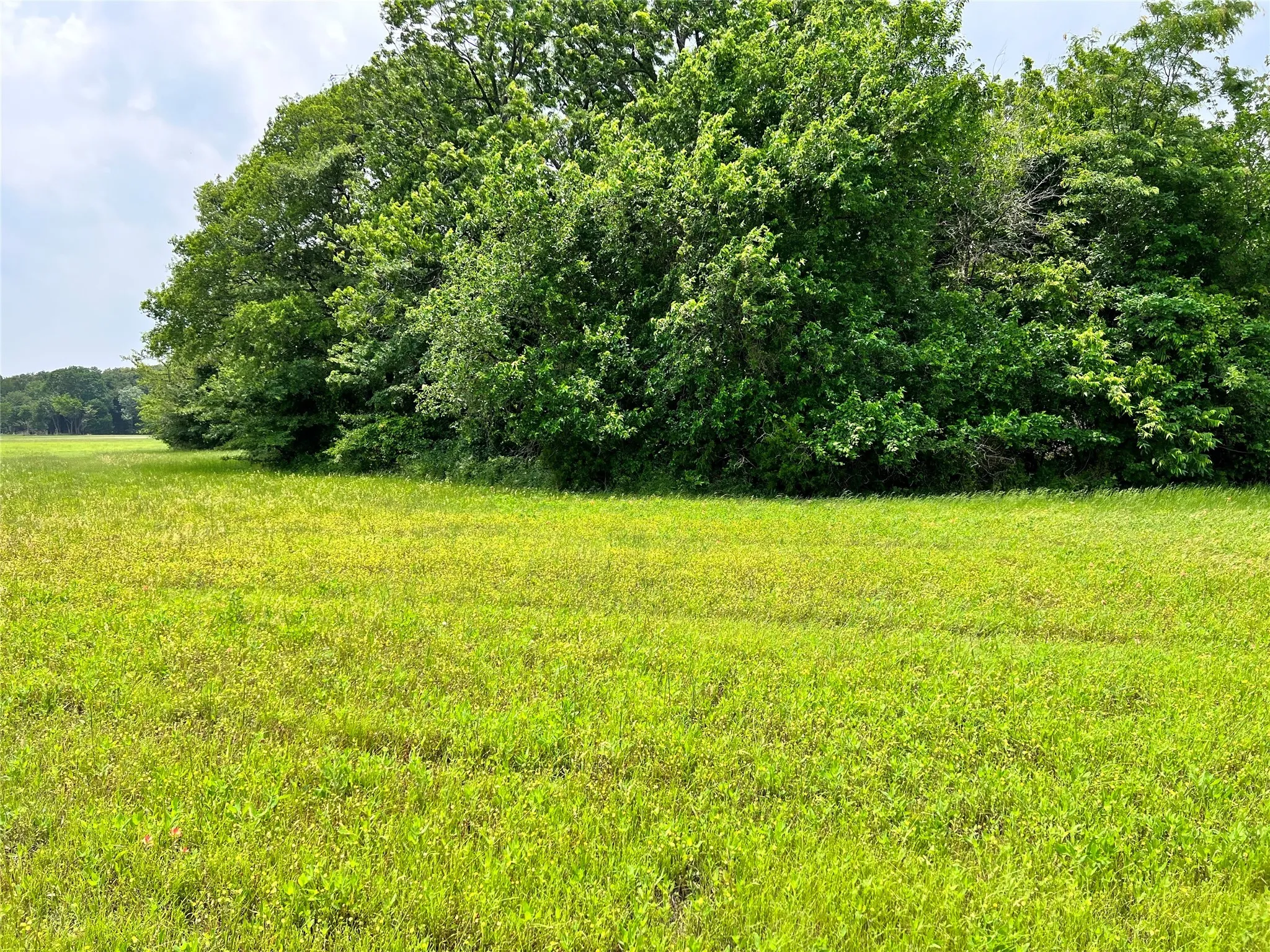 Unimproved Land For Sale in Navarro County , Lot 79 Clubhouse Drive, Corsicana, Texas 75109, 0, 0, Garage spaces, 0 Sqft, built in 0, Price $70,000, mls#21142676, Real Estate Agent in Corsicana, Homes For Sale in Navarro county, Homes For Sale in Corsicana, Realtor in Corsicana Texas, Real Estate Brokerage Independent Realty Texas, Luminita Cordes Realtor