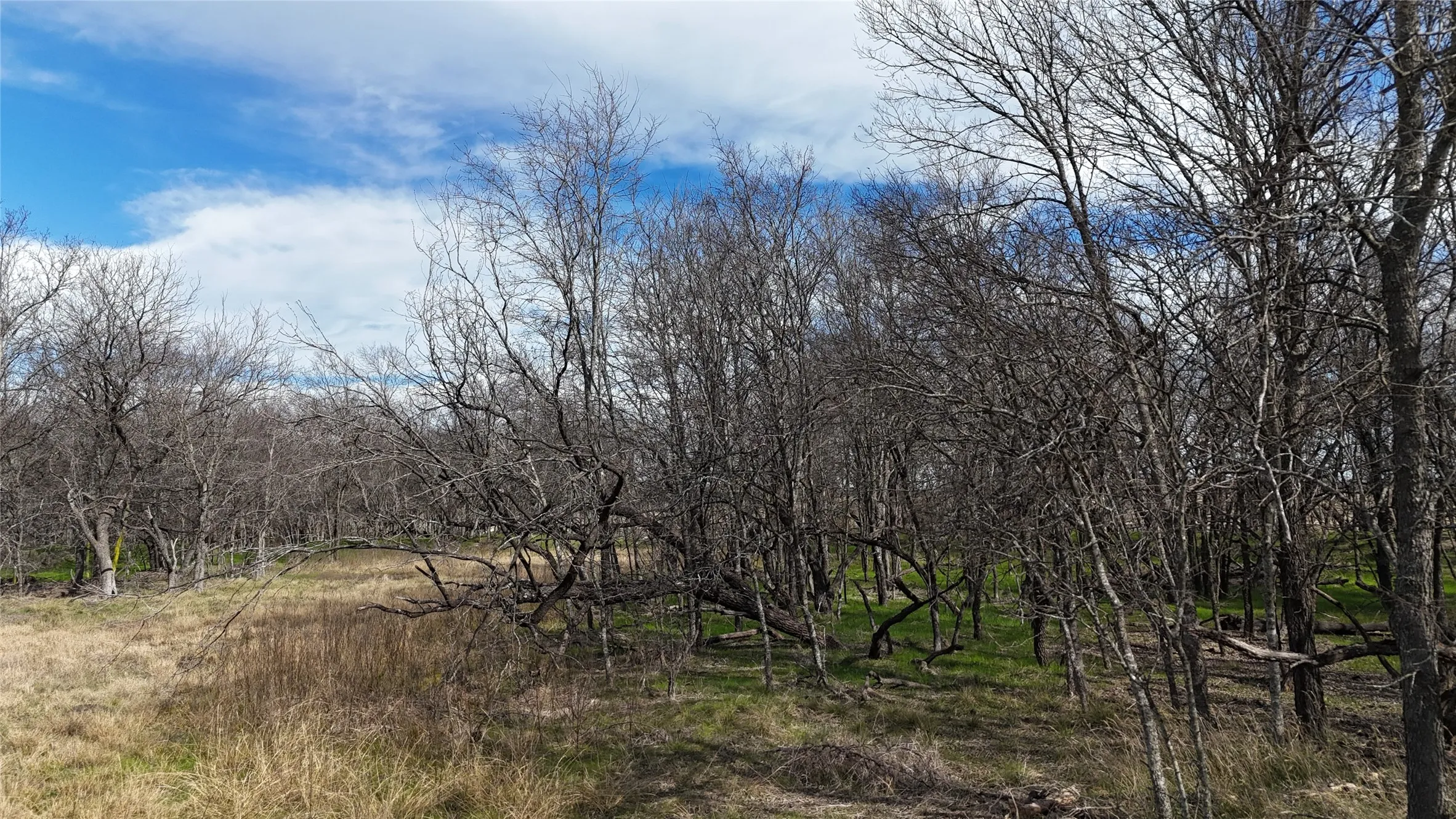 Unimproved Land For Sale in Navarro County , L21 Camp Fleming Court, Corsicana, Texas 75109, 0, 0, Garage spaces, 0 Sqft, built in 0, Price $85,000, mls#21149854, Real Estate Agent in Corsicana, Homes For Sale in Navarro county, Homes For Sale in Corsicana, Realtor in Corsicana Texas, Real Estate Brokerage Independent Realty Texas, Luminita Cordes Realtor