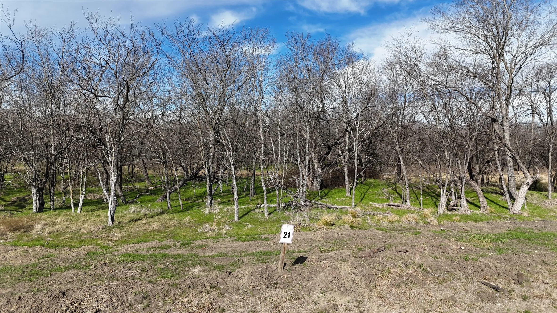 Unimproved Land For Sale in Navarro County , L21 Camp Fleming Court, Corsicana, Texas 75109, 0, 0, Garage spaces, 0 Sqft, built in 0, Price $85,000, mls#21149854, Real Estate Agent in Corsicana, Homes For Sale in Navarro county, Homes For Sale in Corsicana, Realtor in Corsicana Texas, Real Estate Brokerage Independent Realty Texas, Luminita Cordes Realtor