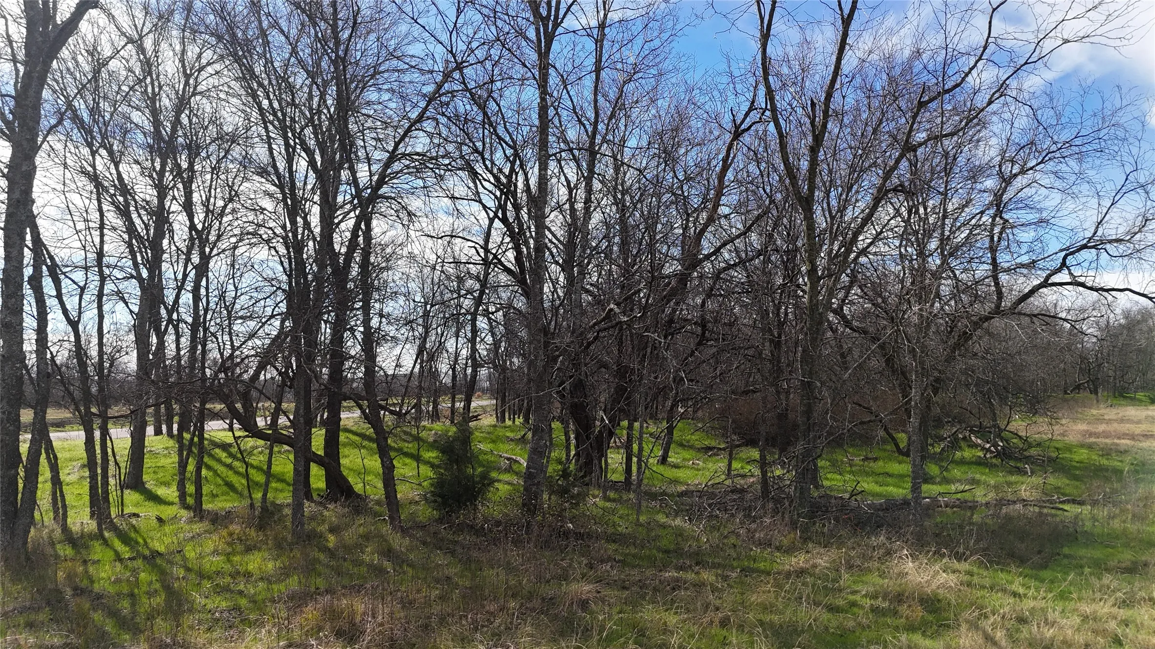 Unimproved Land For Sale in Navarro County , L21 Camp Fleming Court, Corsicana, Texas 75109, 0, 0, Garage spaces, 0 Sqft, built in 0, Price $85,000, mls#21149854, Real Estate Agent in Corsicana, Homes For Sale in Navarro county, Homes For Sale in Corsicana, Realtor in Corsicana Texas, Real Estate Brokerage Independent Realty Texas, Luminita Cordes Realtor