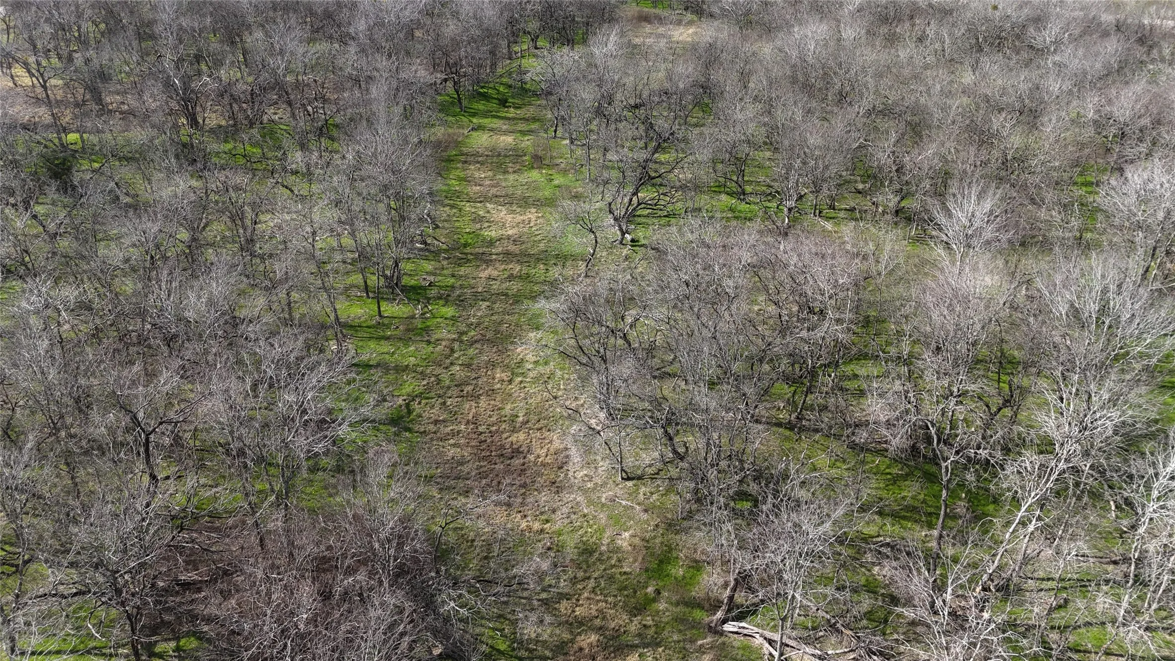 Unimproved Land For Sale in Navarro County , L21 Camp Fleming Court, Corsicana, Texas 75109, 0, 0, Garage spaces, 0 Sqft, built in 0, Price $85,000, mls#21149854, Real Estate Agent in Corsicana, Homes For Sale in Navarro county, Homes For Sale in Corsicana, Realtor in Corsicana Texas, Real Estate Brokerage Independent Realty Texas, Luminita Cordes Realtor