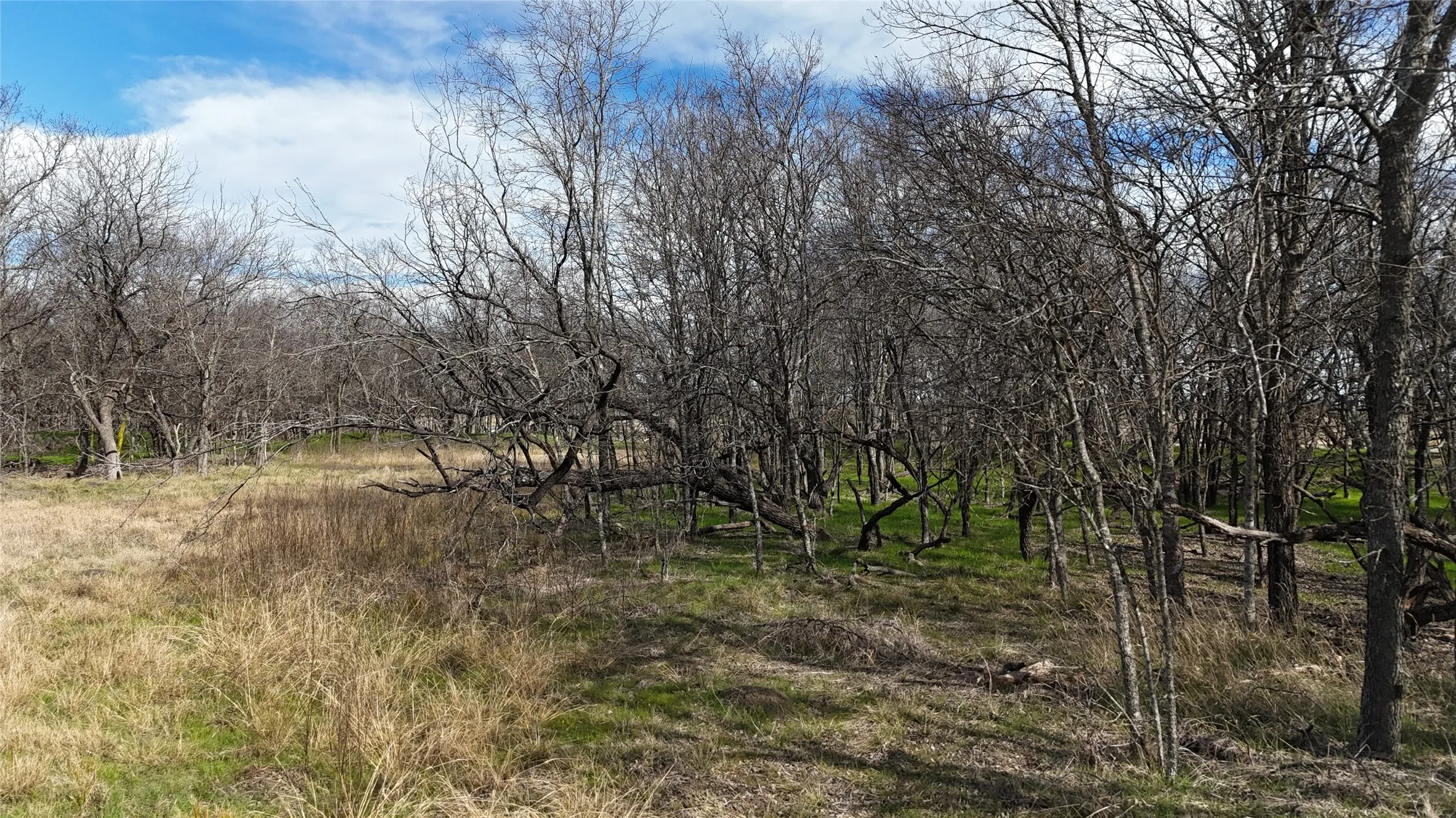 Unimproved Land For Sale in Navarro County , L21 Camp Fleming Court, Corsicana, Texas 75109, 0, 0, Garage spaces, 0 Sqft, built in 0, Price $85,000, mls#21149854, Real Estate Agent in Corsicana, Homes For Sale in Navarro county, Homes For Sale in Corsicana, Realtor in Corsicana Texas, Real Estate Brokerage Independent Realty Texas, Luminita Cordes Realtor