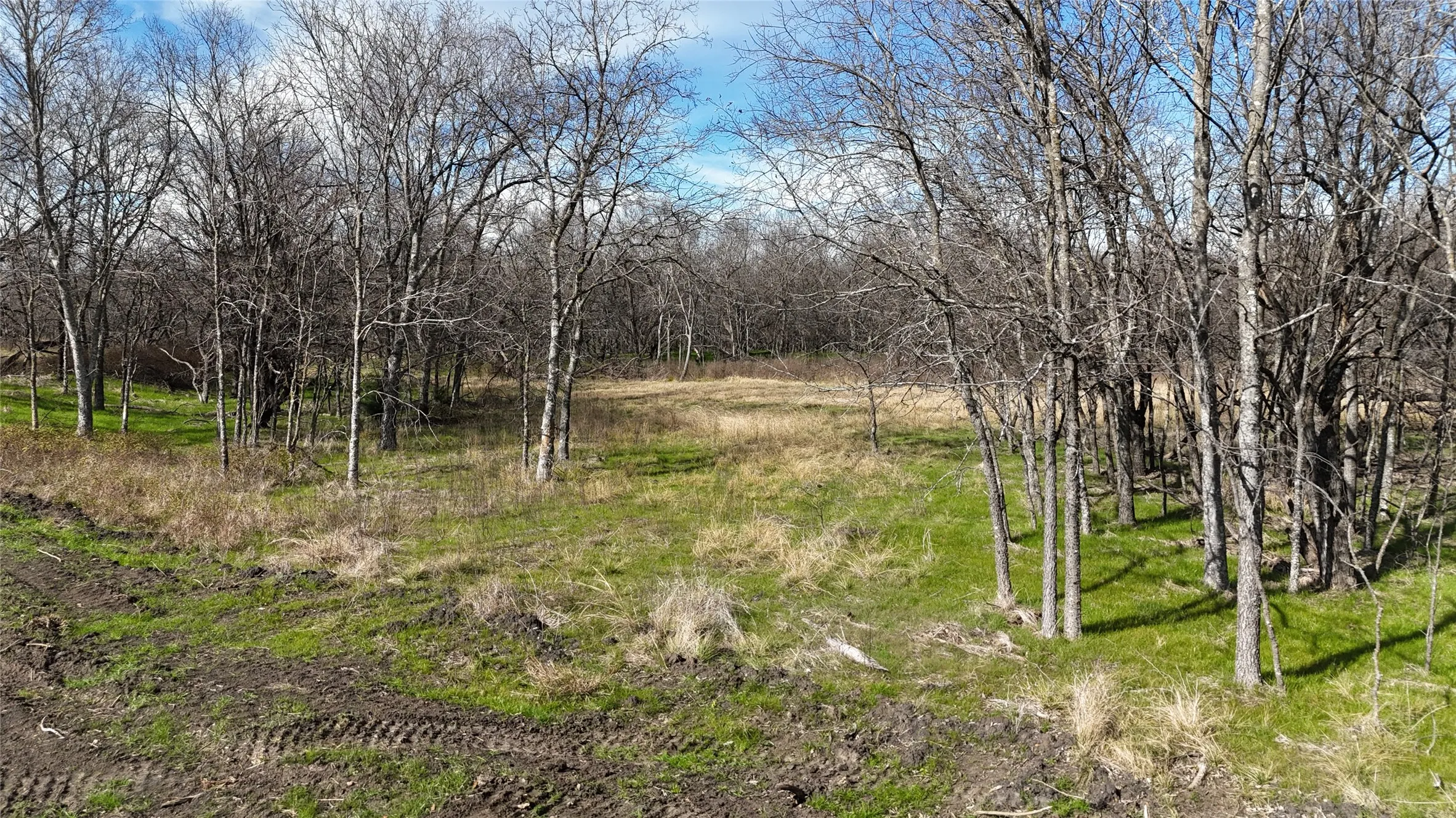 Unimproved Land For Sale in Navarro County , L21 Camp Fleming Court, Corsicana, Texas 75109, 0, 0, Garage spaces, 0 Sqft, built in 0, Price $85,000, mls#21149854, Real Estate Agent in Corsicana, Homes For Sale in Navarro county, Homes For Sale in Corsicana, Realtor in Corsicana Texas, Real Estate Brokerage Independent Realty Texas, Luminita Cordes Realtor