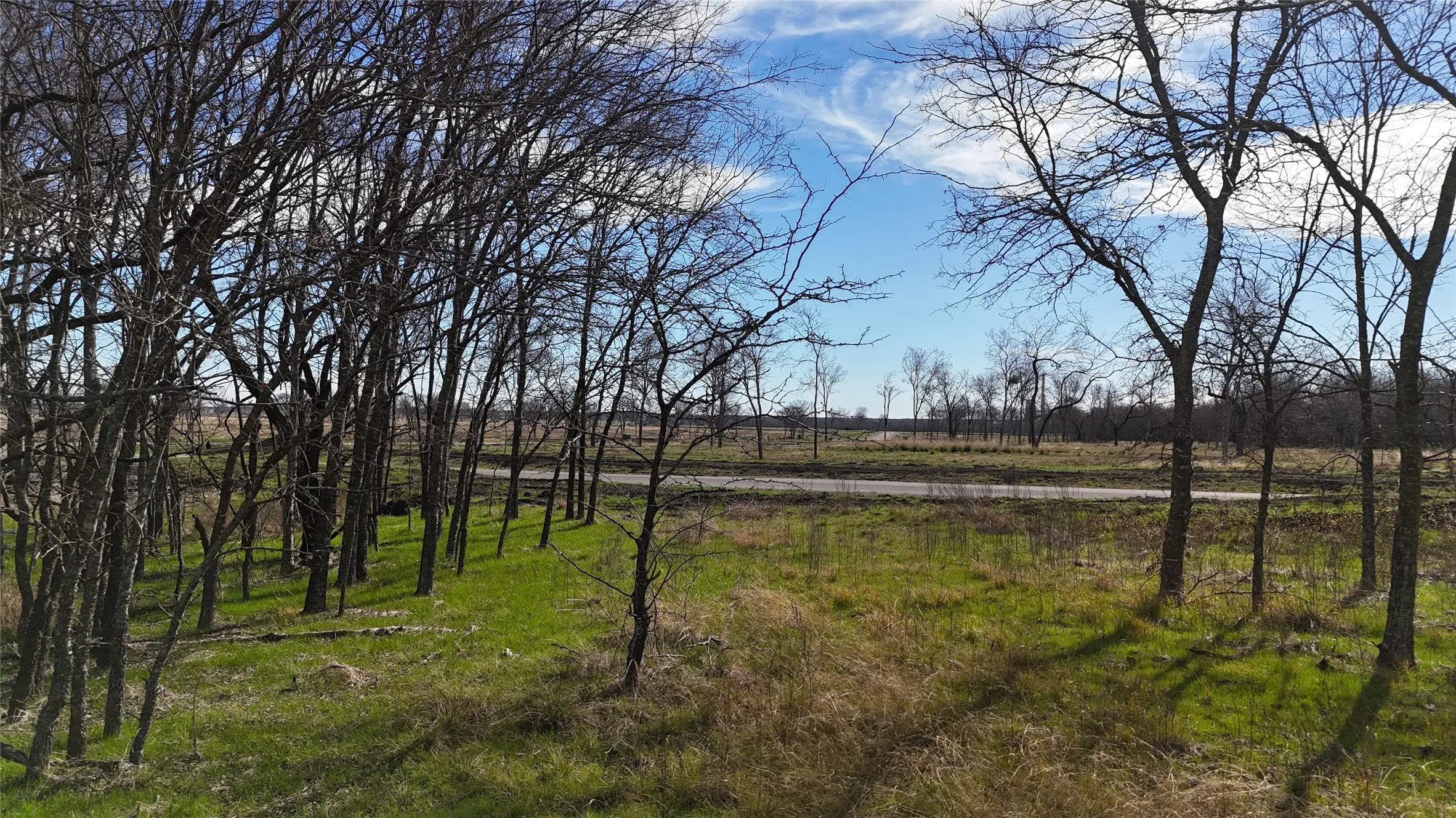Unimproved Land For Sale in Navarro County , L21 Camp Fleming Court, Corsicana, Texas 75109, 0, 0, Garage spaces, 0 Sqft, built in 0, Price $85,000, mls#21149854, Real Estate Agent in Corsicana, Homes For Sale in Navarro county, Homes For Sale in Corsicana, Realtor in Corsicana Texas, Real Estate Brokerage Independent Realty Texas, Luminita Cordes Realtor