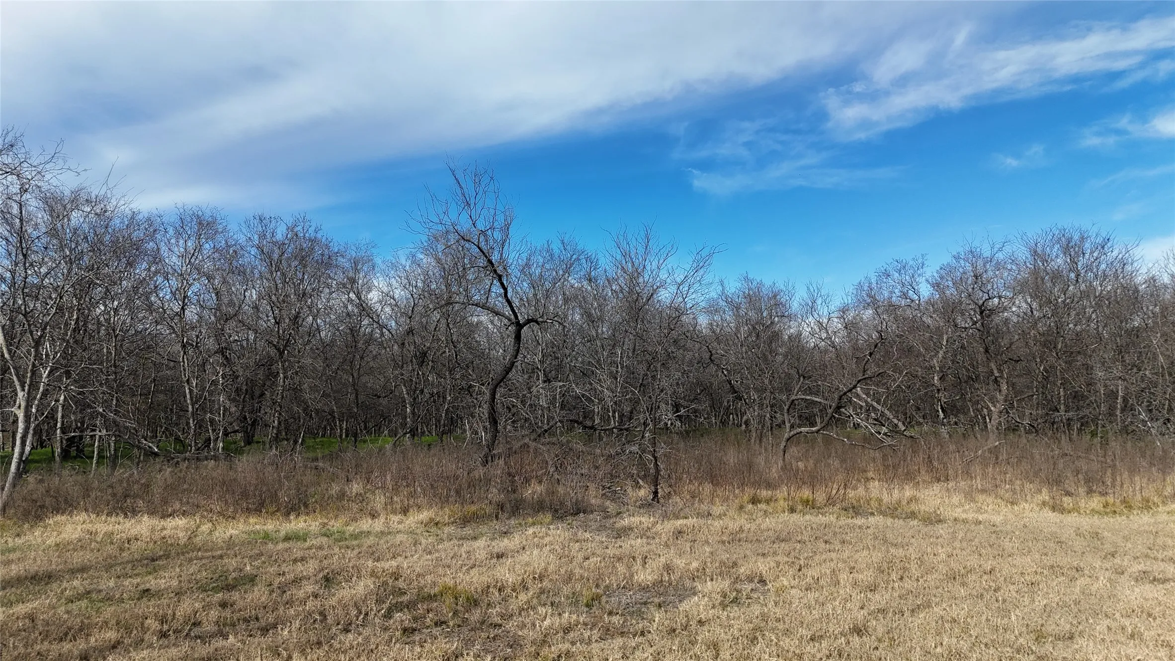 Unimproved Land For Sale in Navarro County , L21 Camp Fleming Court, Corsicana, Texas 75109, 0, 0, Garage spaces, 0 Sqft, built in 0, Price $85,000, mls#21149854, Real Estate Agent in Corsicana, Homes For Sale in Navarro county, Homes For Sale in Corsicana, Realtor in Corsicana Texas, Real Estate Brokerage Independent Realty Texas, Luminita Cordes Realtor