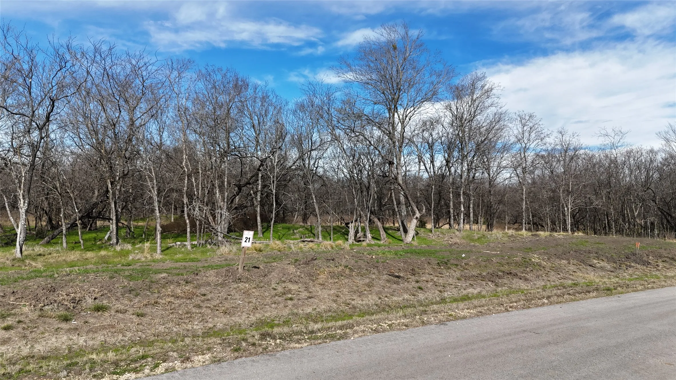 Unimproved Land For Sale in Navarro County , L21 Camp Fleming Court, Corsicana, Texas 75109, 0, 0, Garage spaces, 0 Sqft, built in 0, Price $85,000, mls#21149854, Real Estate Agent in Corsicana, Homes For Sale in Navarro county, Homes For Sale in Corsicana, Realtor in Corsicana Texas, Real Estate Brokerage Independent Realty Texas, Luminita Cordes Realtor