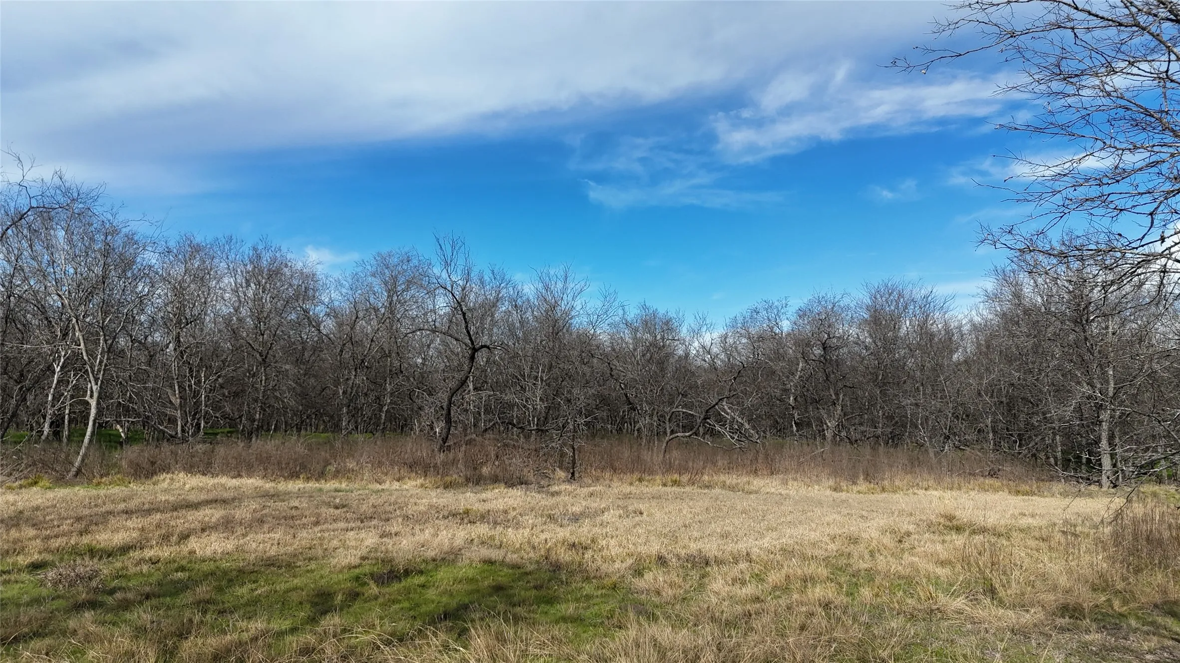 Unimproved Land For Sale in Navarro County , L21 Camp Fleming Court, Corsicana, Texas 75109, 0, 0, Garage spaces, 0 Sqft, built in 0, Price $85,000, mls#21149854, Real Estate Agent in Corsicana, Homes For Sale in Navarro county, Homes For Sale in Corsicana, Realtor in Corsicana Texas, Real Estate Brokerage Independent Realty Texas, Luminita Cordes Realtor