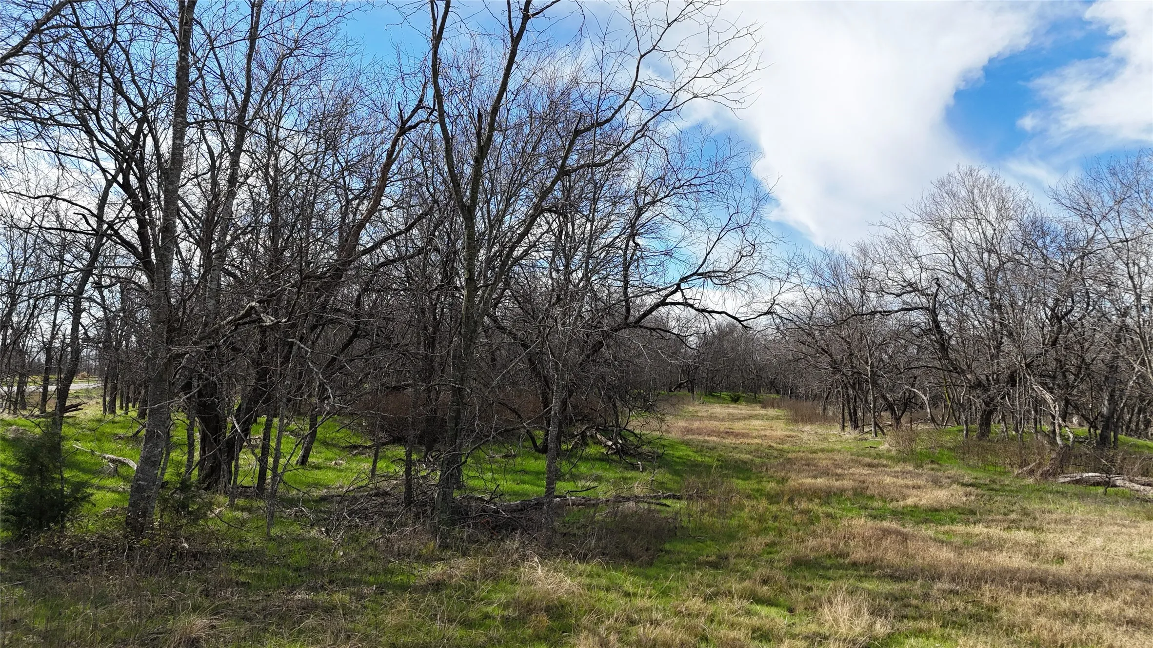 Unimproved Land For Sale in Navarro County , L21 Camp Fleming Court, Corsicana, Texas 75109, 0, 0, Garage spaces, 0 Sqft, built in 0, Price $85,000, mls#21149854, Real Estate Agent in Corsicana, Homes For Sale in Navarro county, Homes For Sale in Corsicana, Realtor in Corsicana Texas, Real Estate Brokerage Independent Realty Texas, Luminita Cordes Realtor