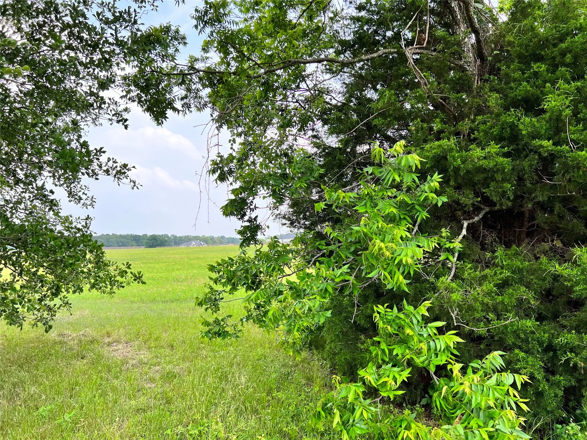 Unimproved Land For Sale in Navarro County , Lot 78 Clubhouse Drive, Corsicana, Texas 75109, 0, 0, Garage spaces, 0 Sqft, built in 0, Price $70,000, mls#21142711, Real Estate Agent in Corsicana, Homes For Sale in Navarro county, Homes For Sale in Corsicana, Realtor in Corsicana Texas, Real Estate Brokerage Independent Realty Texas, Luminita Cordes Realtor