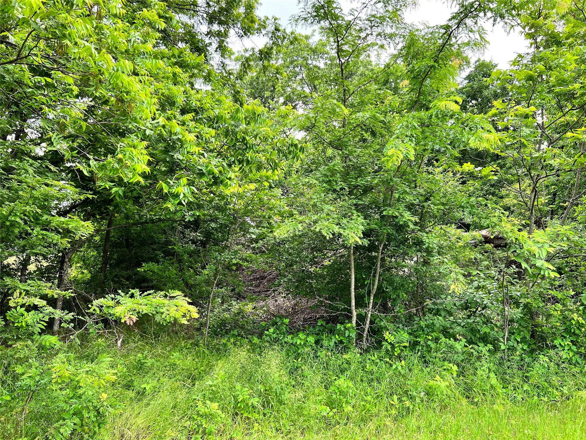 Unimproved Land For Sale in Navarro County , Lot 78 Clubhouse Drive, Corsicana, Texas 75109, 0, 0, Garage spaces, 0 Sqft, built in 0, Price $70,000, mls#21142711, Real Estate Agent in Corsicana, Homes For Sale in Navarro county, Homes For Sale in Corsicana, Realtor in Corsicana Texas, Real Estate Brokerage Independent Realty Texas, Luminita Cordes Realtor