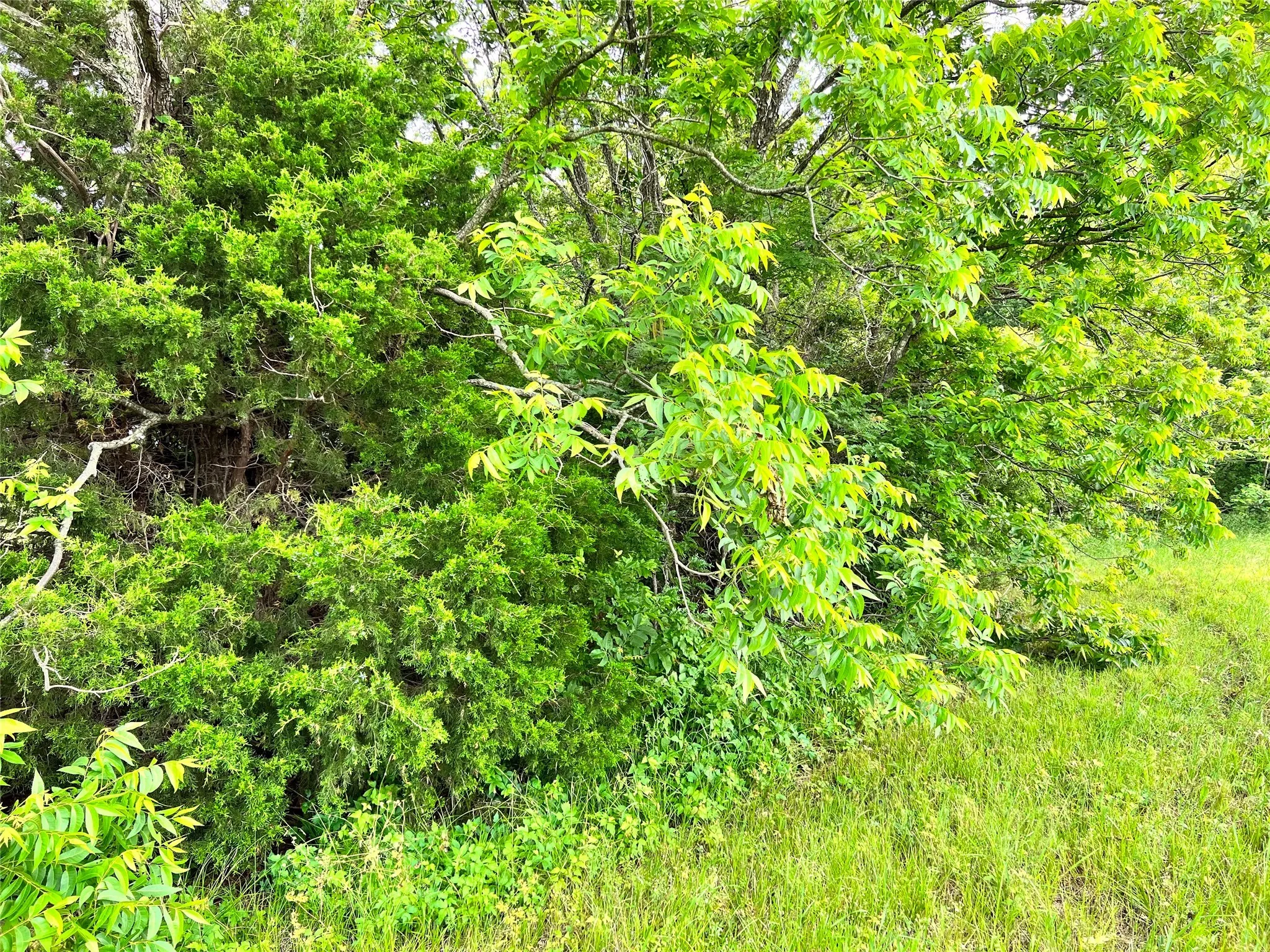 Unimproved Land For Sale in Navarro County , Lot 78 Clubhouse Drive, Corsicana, Texas 75109, 0, 0, Garage spaces, 0 Sqft, built in 0, Price $70,000, mls#21142711, Real Estate Agent in Corsicana, Homes For Sale in Navarro county, Homes For Sale in Corsicana, Realtor in Corsicana Texas, Real Estate Brokerage Independent Realty Texas, Luminita Cordes Realtor
