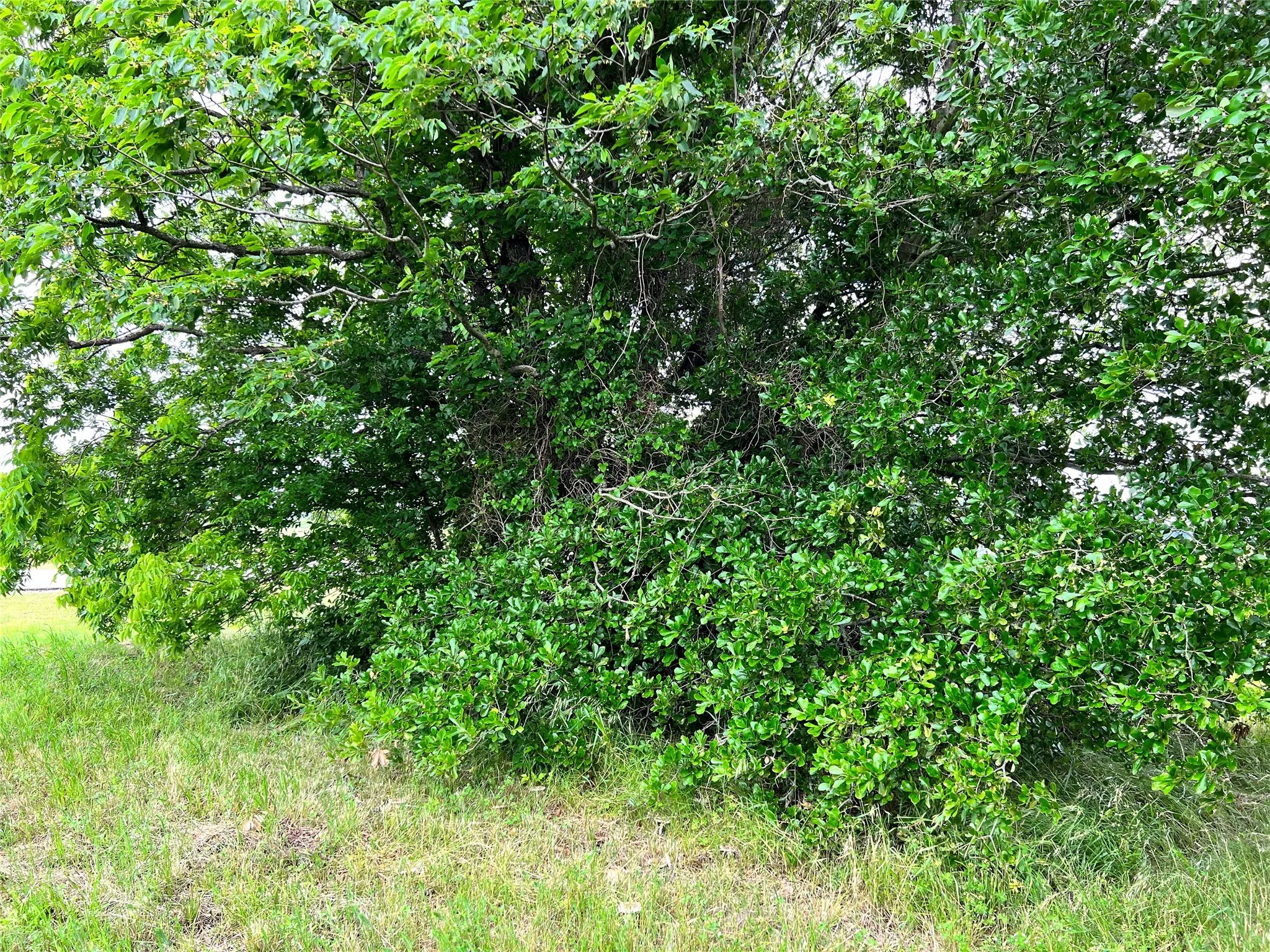 Unimproved Land For Sale in Navarro County , Lot 78 Clubhouse Drive, Corsicana, Texas 75109, 0, 0, Garage spaces, 0 Sqft, built in 0, Price $70,000, mls#21142711, Real Estate Agent in Corsicana, Homes For Sale in Navarro county, Homes For Sale in Corsicana, Realtor in Corsicana Texas, Real Estate Brokerage Independent Realty Texas, Luminita Cordes Realtor