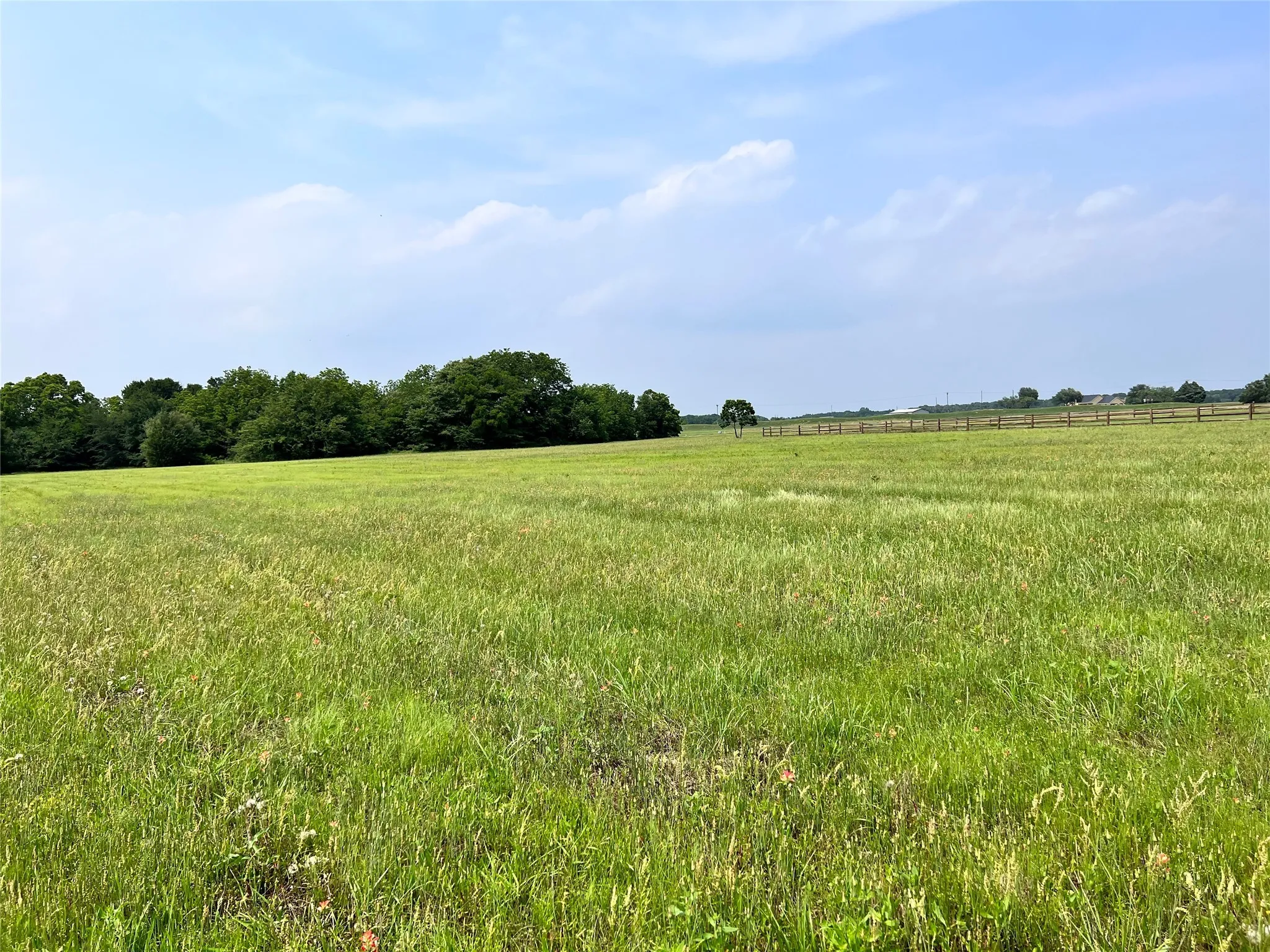 Unimproved Land For Sale in Navarro County , Lot 390 Polaris Drive, Corsicana, Texas 75109, 0, 0, Garage spaces, 0 Sqft, built in 0, mls#21142603, Real Estate Agent in Corsicana, Homes For Sale in Navarro county, Homes For Sale in Corsicana, Realtor in Corsicana Texas, Real Estate Brokerage Independent Realty Texas, Luminita Cordes Realtor