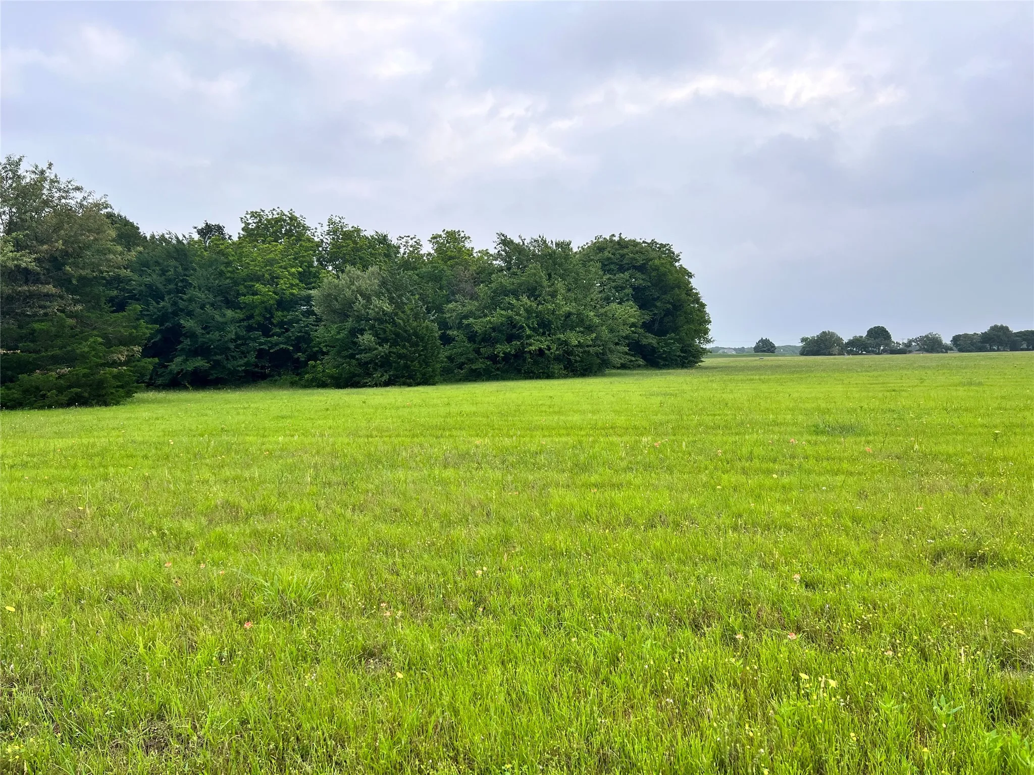 Unimproved Land For Sale in Navarro County , Lot 391 Polaris Drive, Corsicana, Texas 75109, 0, 0, Garage spaces, 0 Sqft, built in 0, Price $70,000, mls#21142575, Real Estate Agent in Corsicana, Homes For Sale in Navarro county, Homes For Sale in Corsicana, Realtor in Corsicana Texas, Real Estate Brokerage Independent Realty Texas, Luminita Cordes Realtor