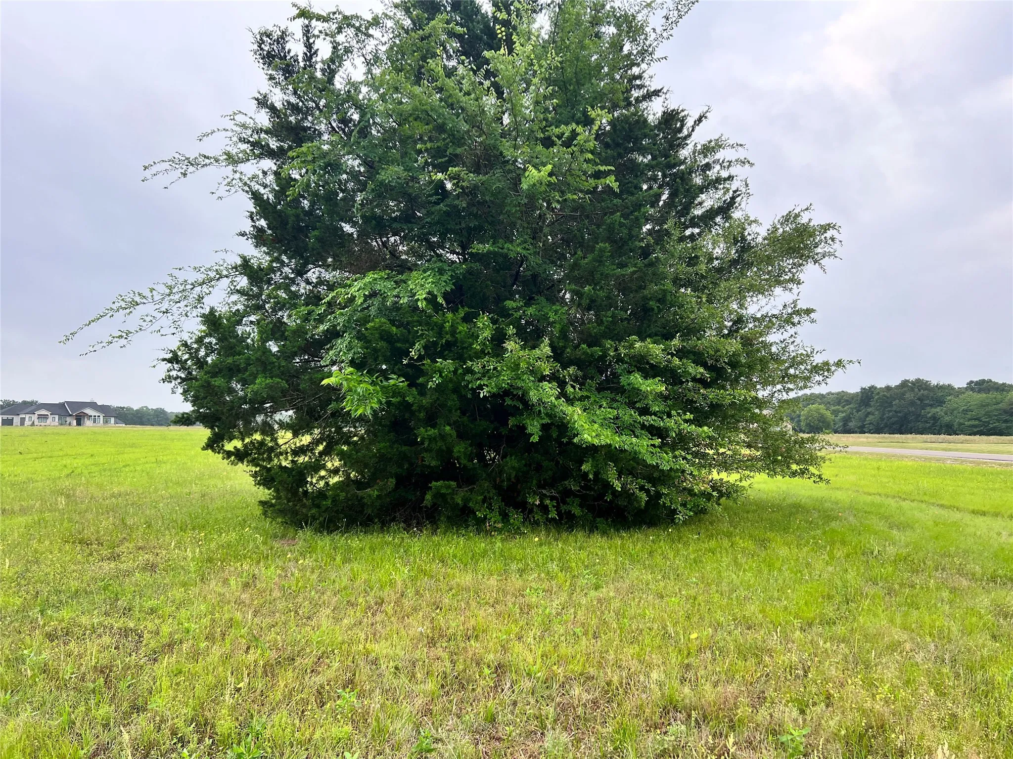 Unimproved Land For Sale in Navarro County , Lot 392 Polaris Drive, Corsicana, Texas 75109, 0, 0, Garage spaces, 0 Sqft, built in 0, Price $70,000, mls#21142536, Real Estate Agent in Corsicana, Homes For Sale in Navarro county, Homes For Sale in Corsicana, Realtor in Corsicana Texas, Real Estate Brokerage Independent Realty Texas, Luminita Cordes Realtor