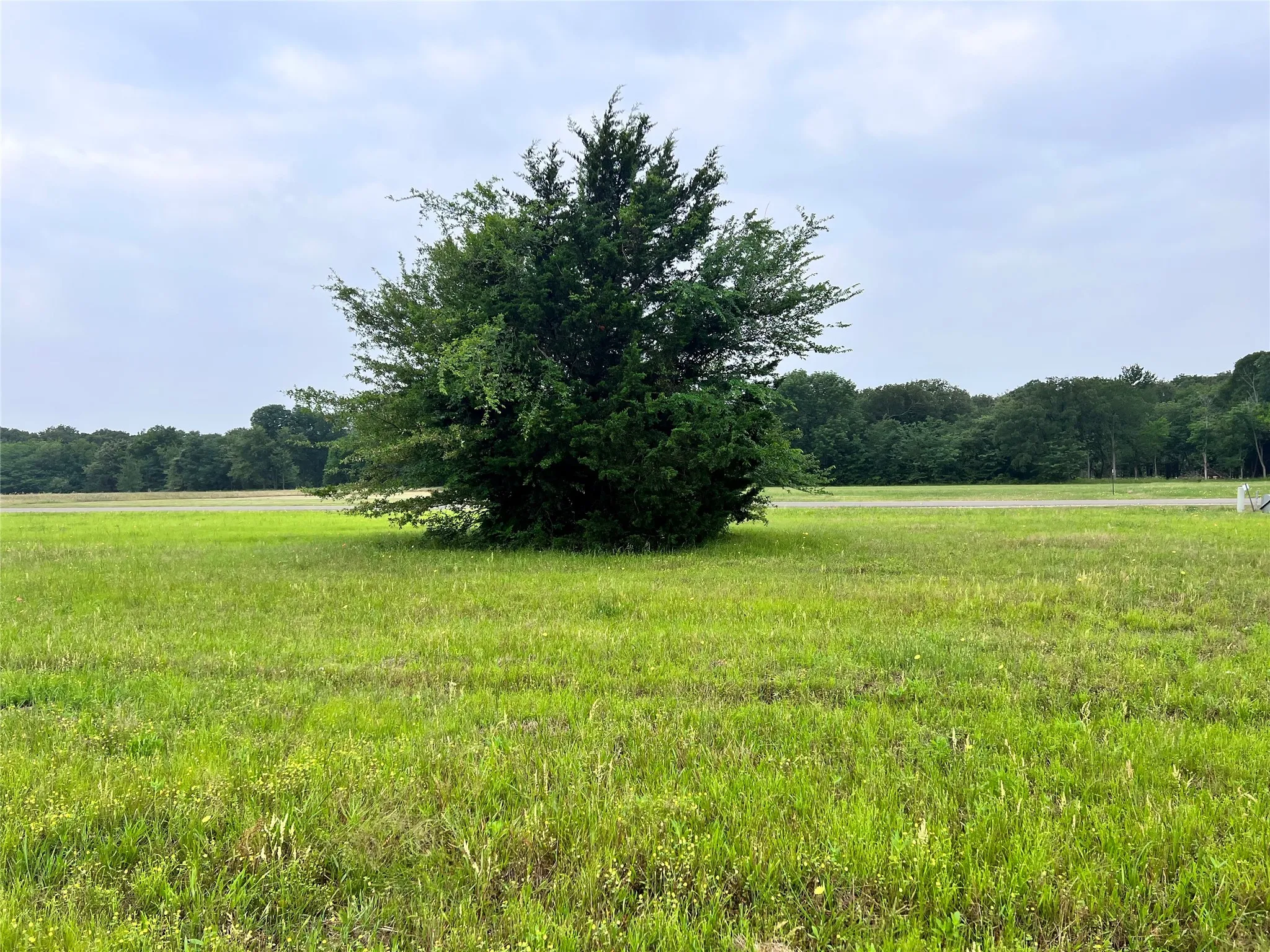 Unimproved Land For Sale in Navarro County , Lot 392 Polaris Drive, Corsicana, Texas 75109, 0, 0, Garage spaces, 0 Sqft, built in 0, Price $70,000, mls#21142536, Real Estate Agent in Corsicana, Homes For Sale in Navarro county, Homes For Sale in Corsicana, Realtor in Corsicana Texas, Real Estate Brokerage Independent Realty Texas, Luminita Cordes Realtor