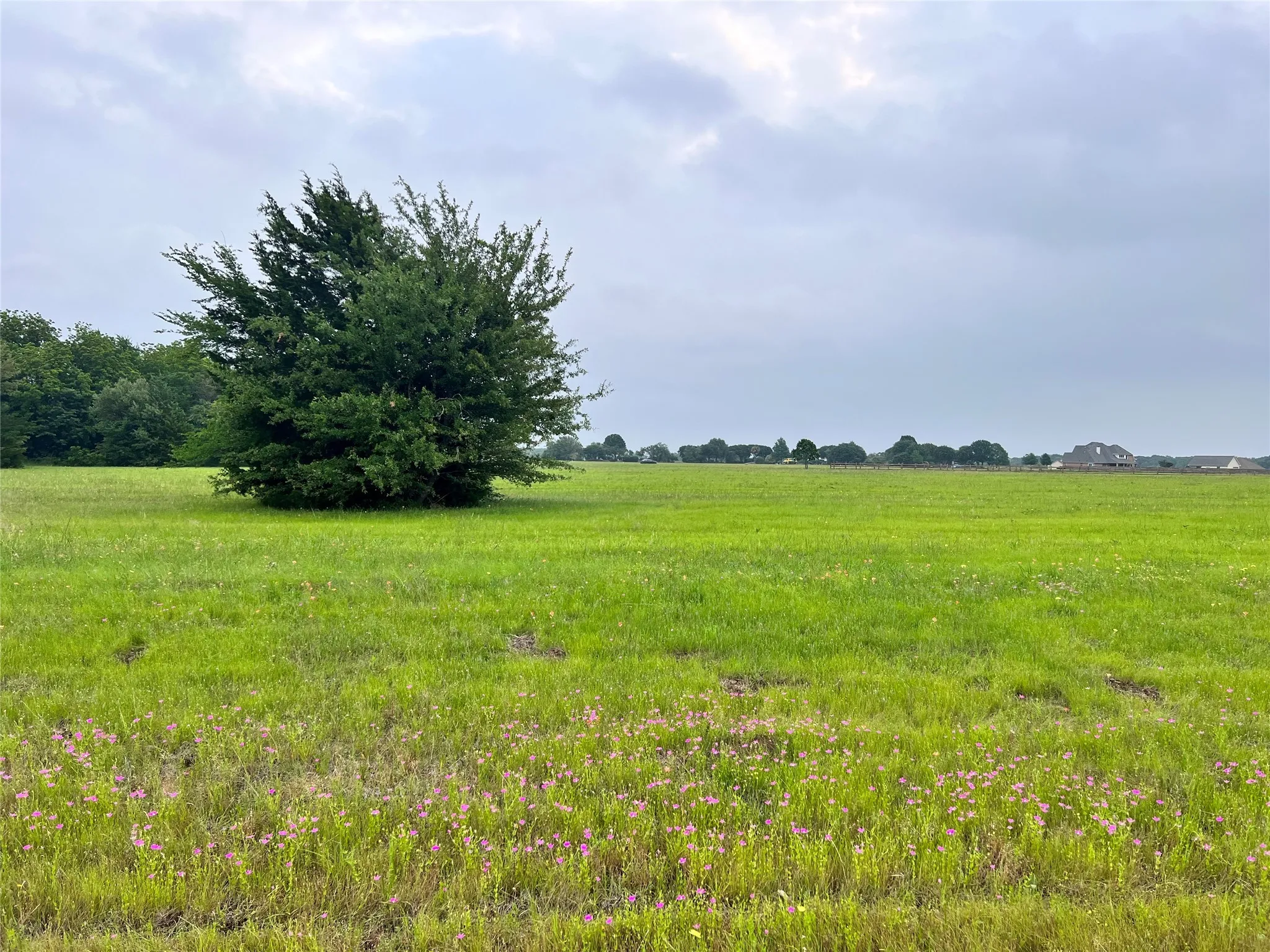 Unimproved Land For Sale in Navarro County , Lot 392 Polaris Drive, Corsicana, Texas 75109, 0, 0, Garage spaces, 0 Sqft, built in 0, Price $70,000, mls#21142536, Real Estate Agent in Corsicana, Homes For Sale in Navarro county, Homes For Sale in Corsicana, Realtor in Corsicana Texas, Real Estate Brokerage Independent Realty Texas, Luminita Cordes Realtor