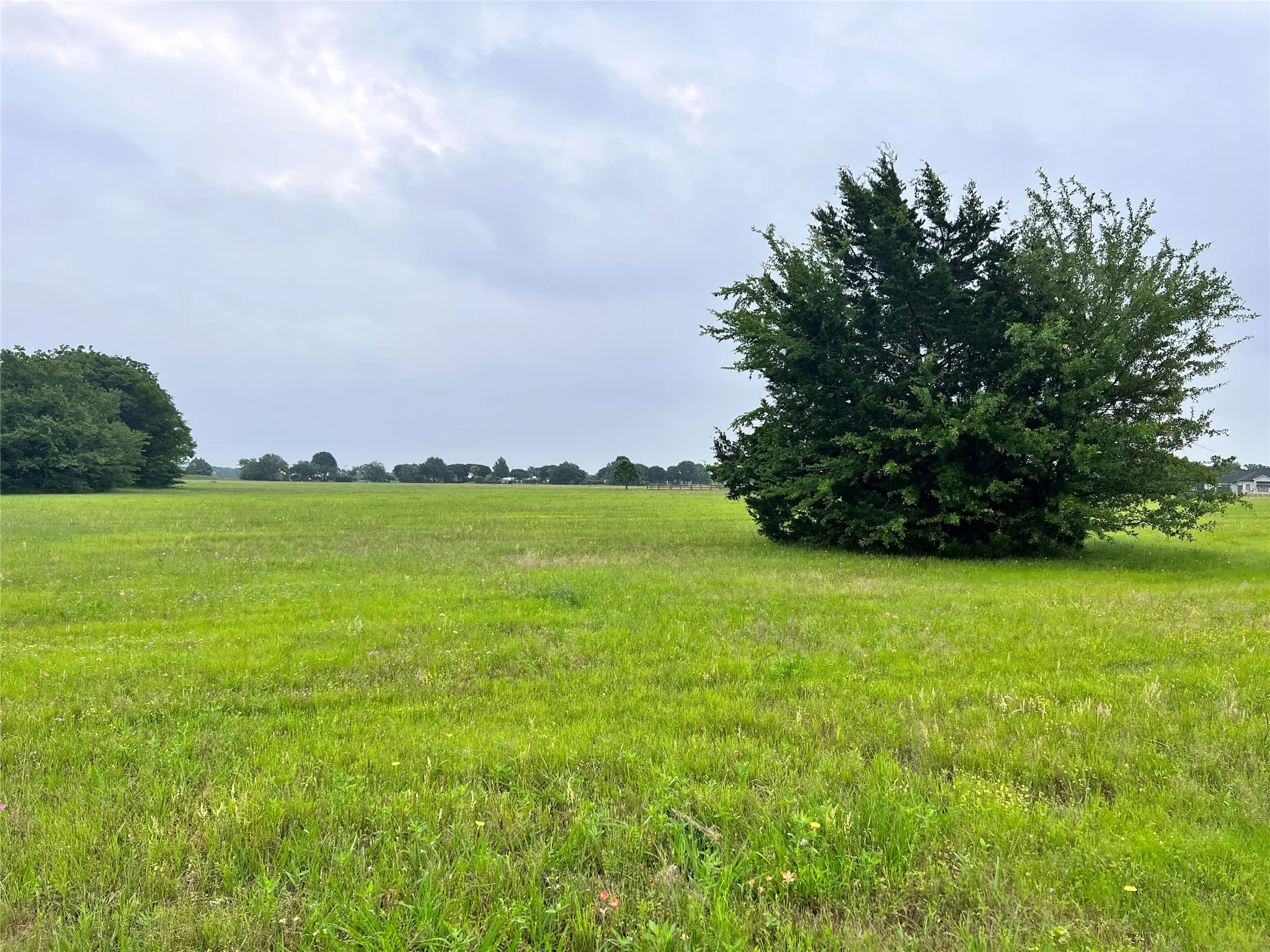 Unimproved Land For Sale in Navarro County , Lot 392 Polaris Drive, Corsicana, Texas 75109, 0, 0, Garage spaces, 0 Sqft, built in 0, Price $70,000, mls#21142536, Real Estate Agent in Corsicana, Homes For Sale in Navarro county, Homes For Sale in Corsicana, Realtor in Corsicana Texas, Real Estate Brokerage Independent Realty Texas, Luminita Cordes Realtor