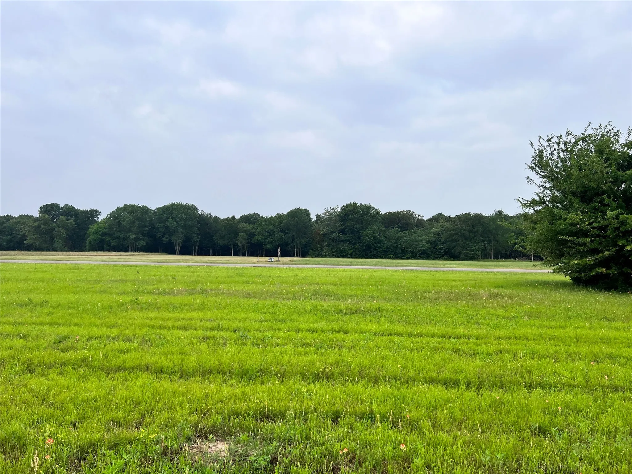 Unimproved Land For Sale in Navarro County , Lot 392 Polaris Drive, Corsicana, Texas 75109, 0, 0, Garage spaces, 0 Sqft, built in 0, Price $70,000, mls#21142536, Real Estate Agent in Corsicana, Homes For Sale in Navarro county, Homes For Sale in Corsicana, Realtor in Corsicana Texas, Real Estate Brokerage Independent Realty Texas, Luminita Cordes Realtor